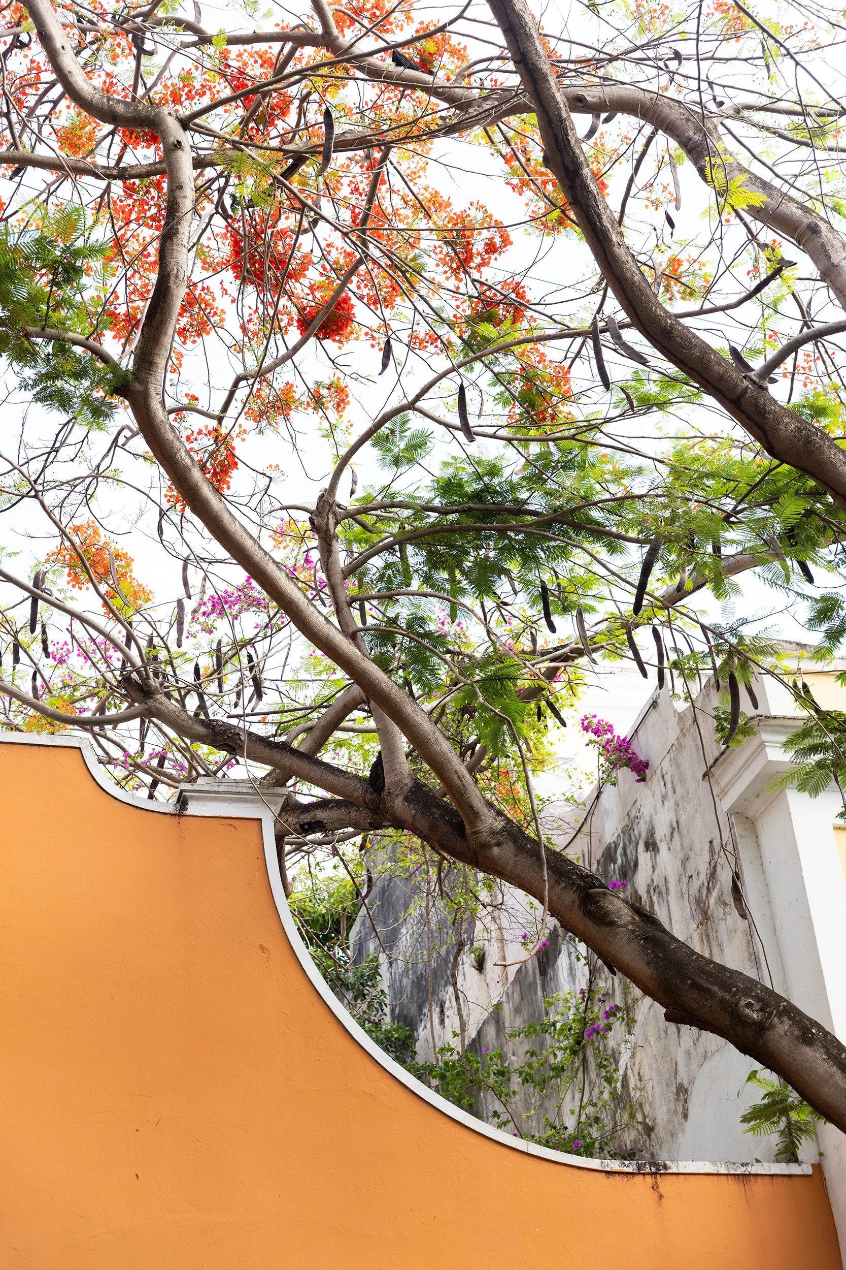 Building detail on Caleta de San Juan, Old San Juan, Puerto Rico