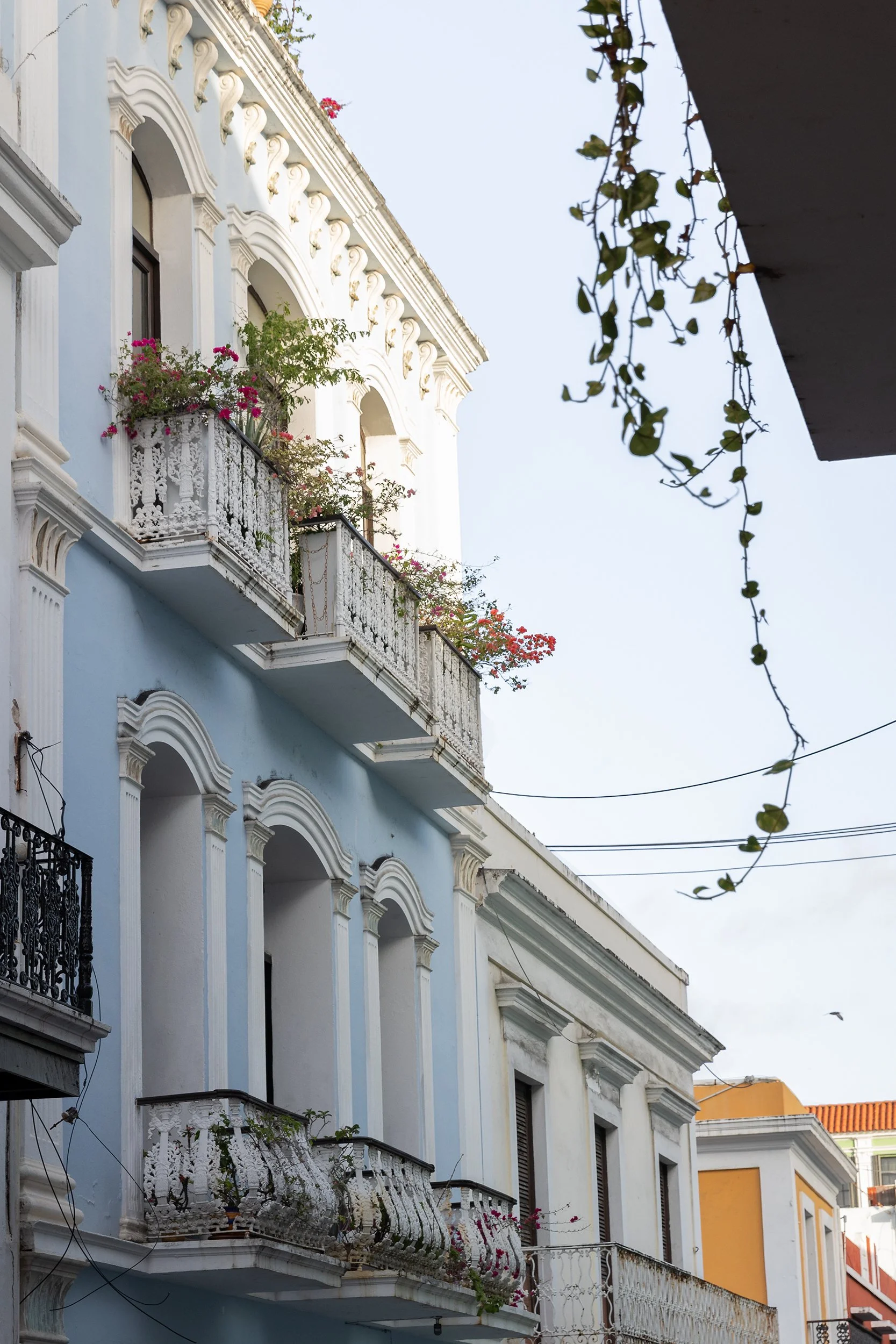 Buildings along Calle de San Justo, Old San Juan, Puerto Rico