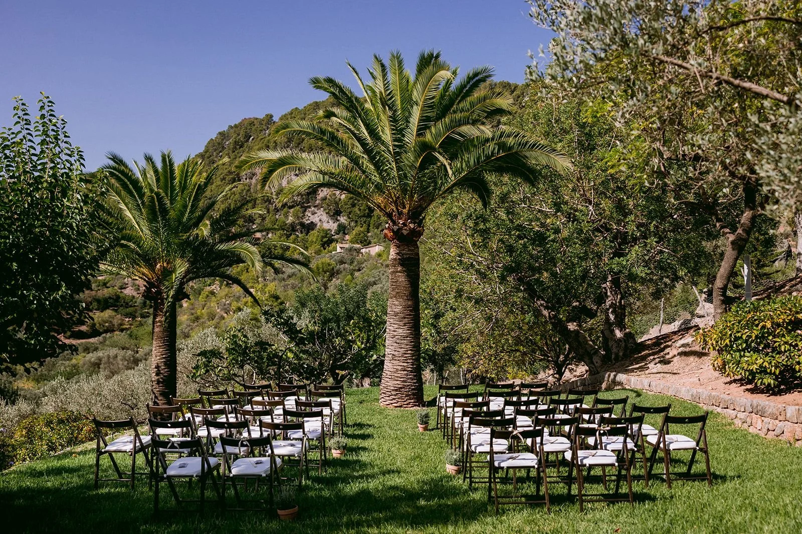 Outdoor wedding ceremony setup with rows of chairs and palm trees in a lush garden.