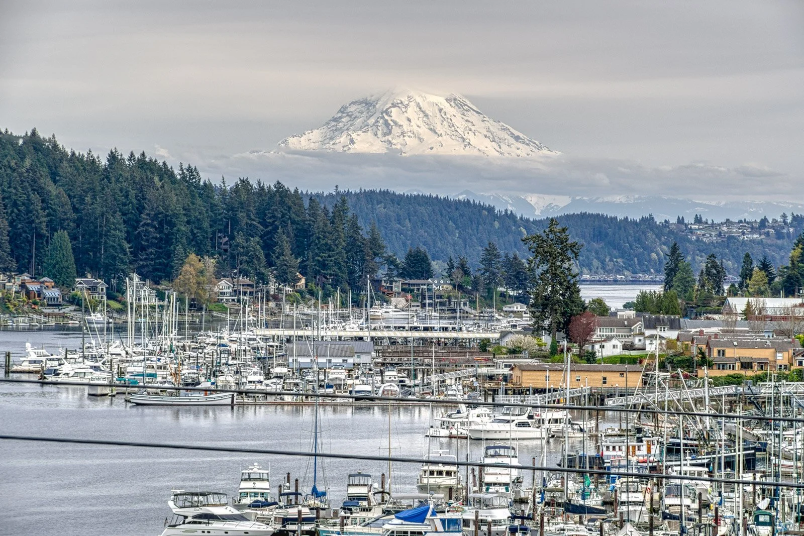 A marina with boats docked on the water, houses and trees in the background, and Mt. Rainier in the background.