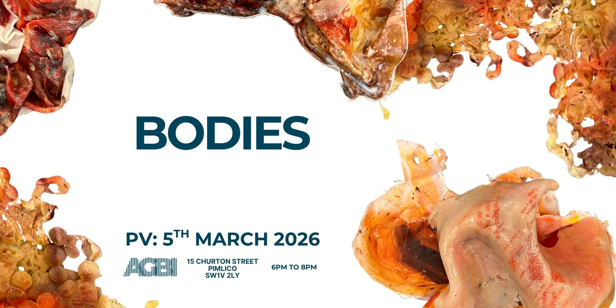 Bodies PV  Eventbrite poster.jpg