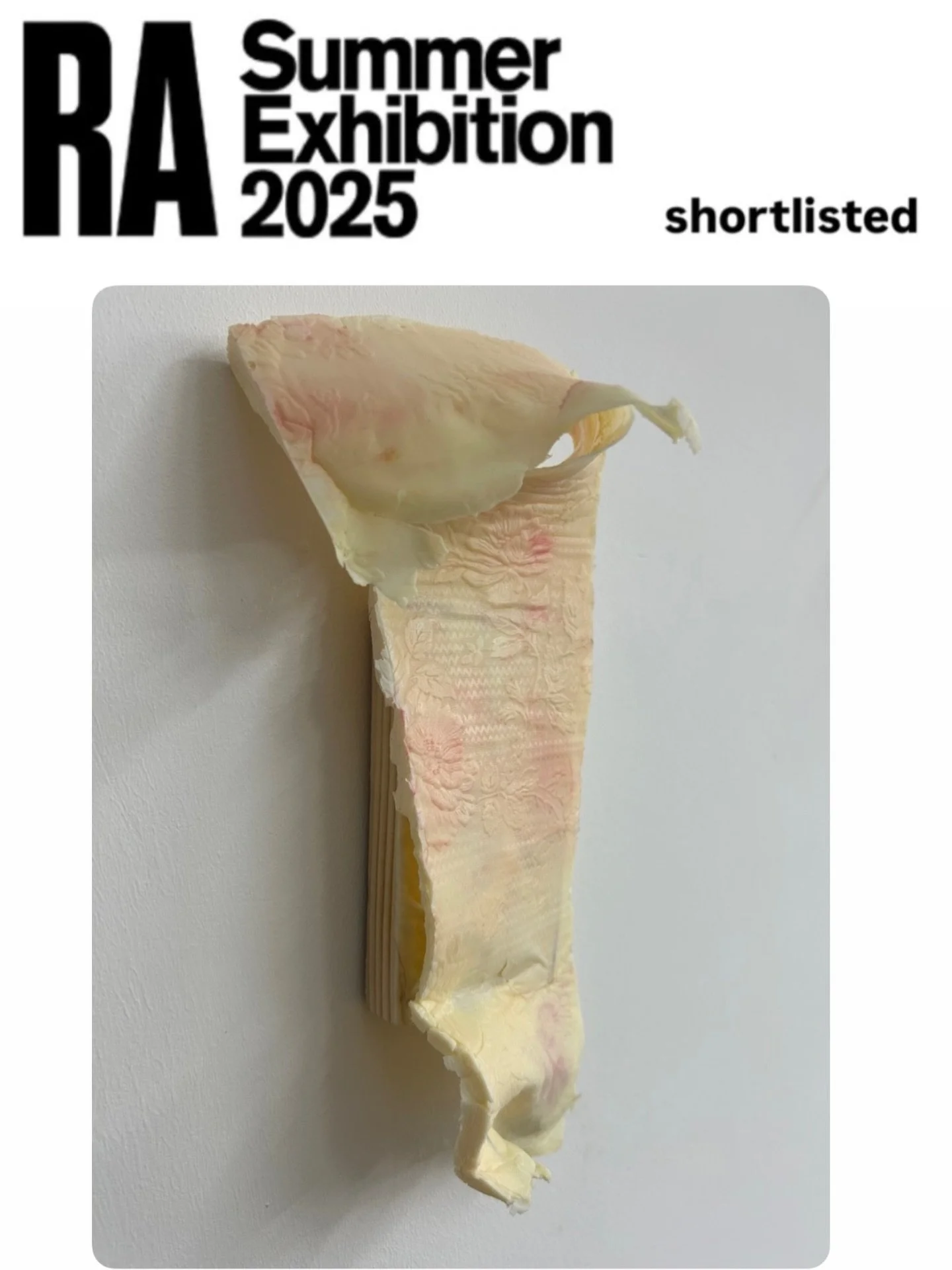 Very excited to be shortlisted for the Royal Academy Summer exhibition 2026 with &ldquo;Peeling back the layers: Domestic Fragment&rdquo; 

The theme is interconnectedness - a theme that&rsquo;s deeply important to my practice. 🤞 

#RASummerexhibiti