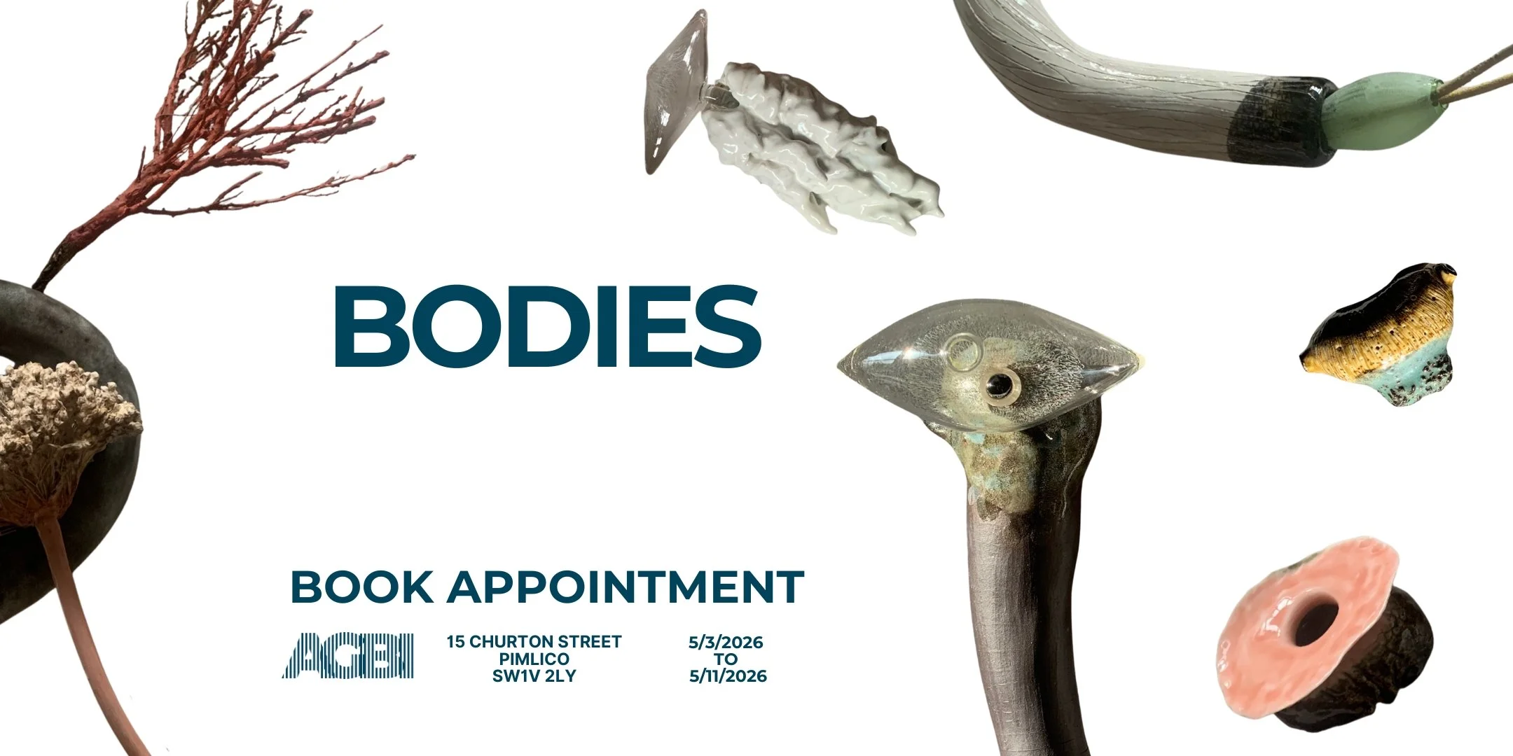 Bodies appointment Eventbrite poster.jpg