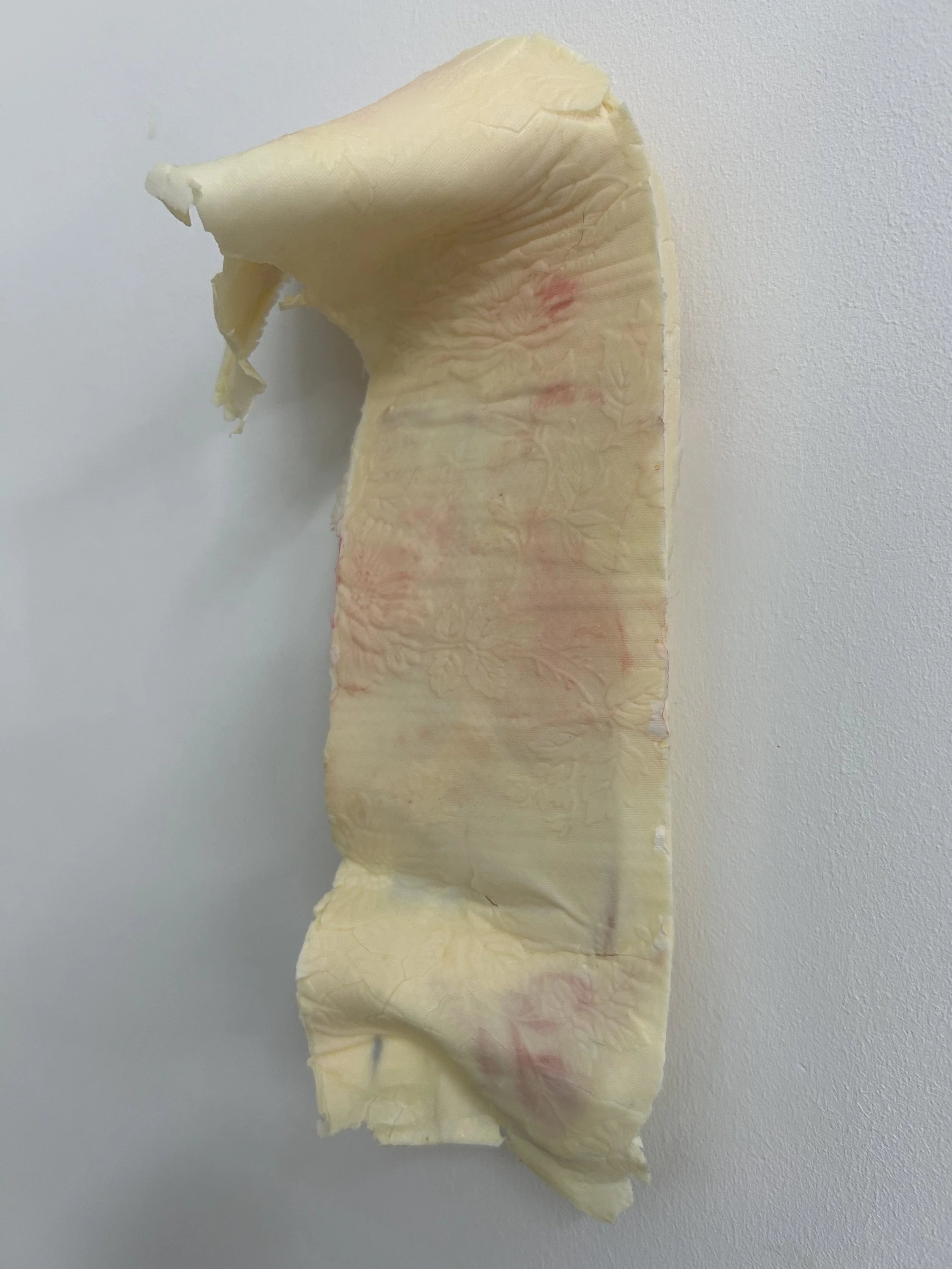 Domestic fragment 3.jpeg