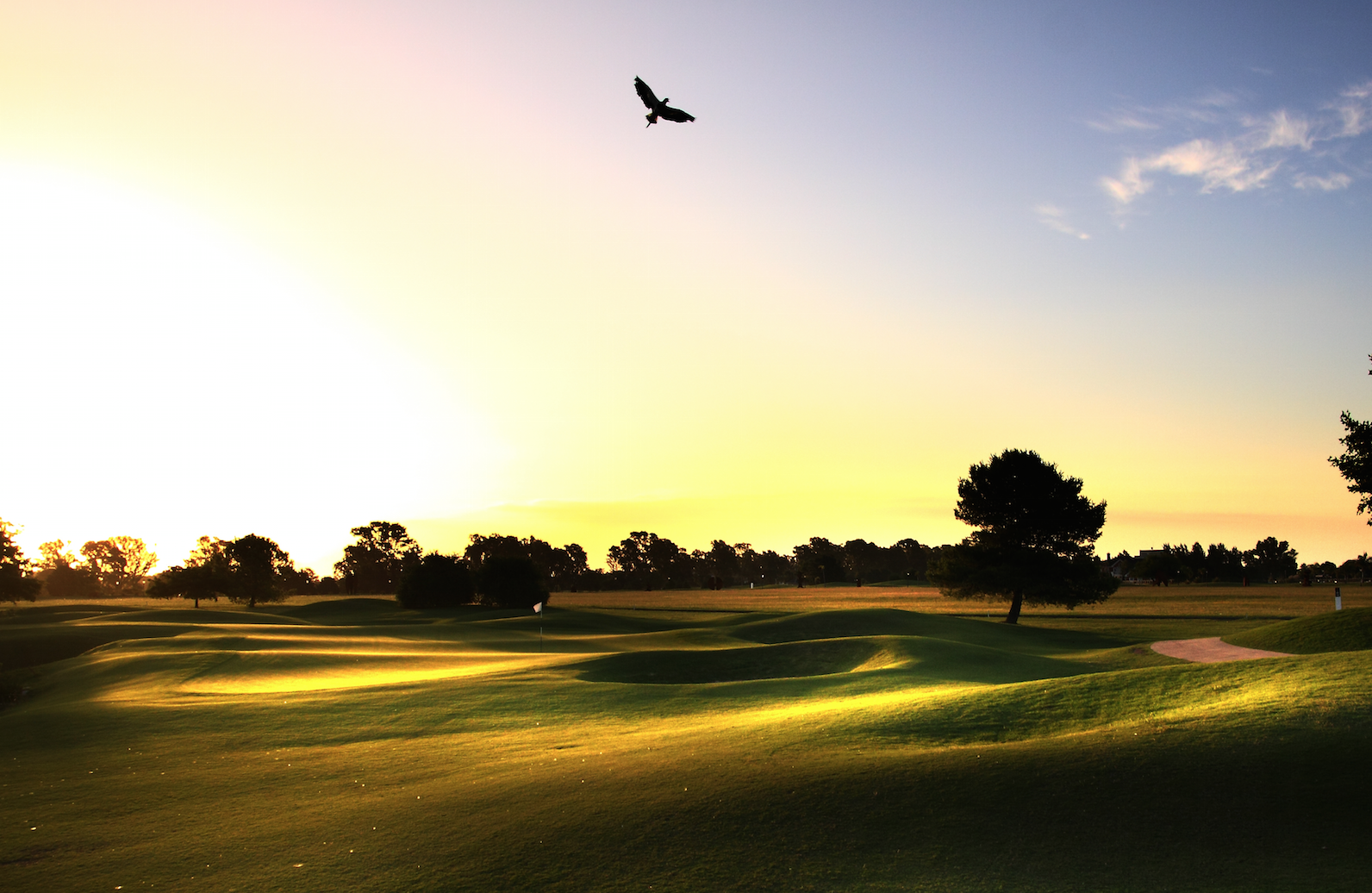 Screen Shot 2014-08-01 at 10.22.33 AM.png