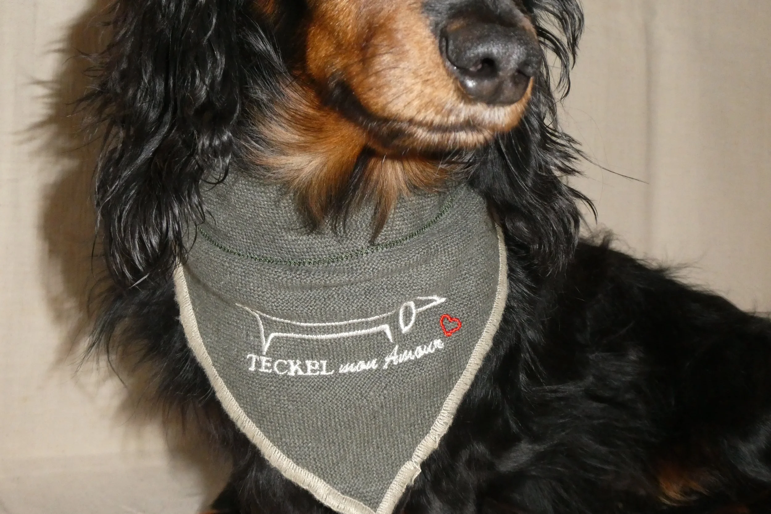 BANDANA PERSONNALISÉ