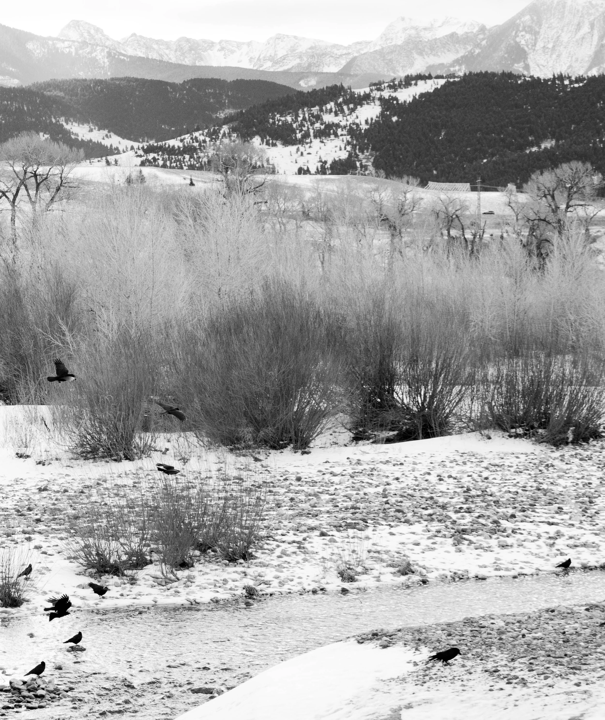 Seeking other supports?