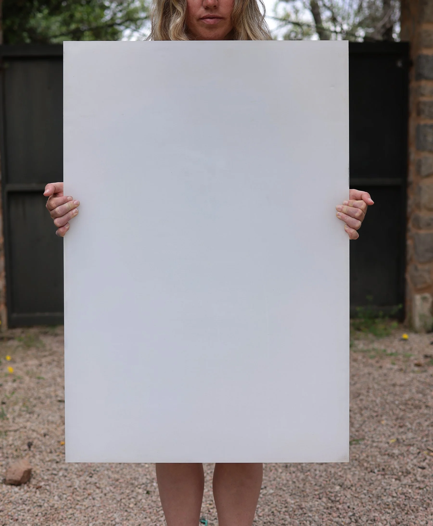 Tereza Barnard, the size of you shouldn't have panels.jpg