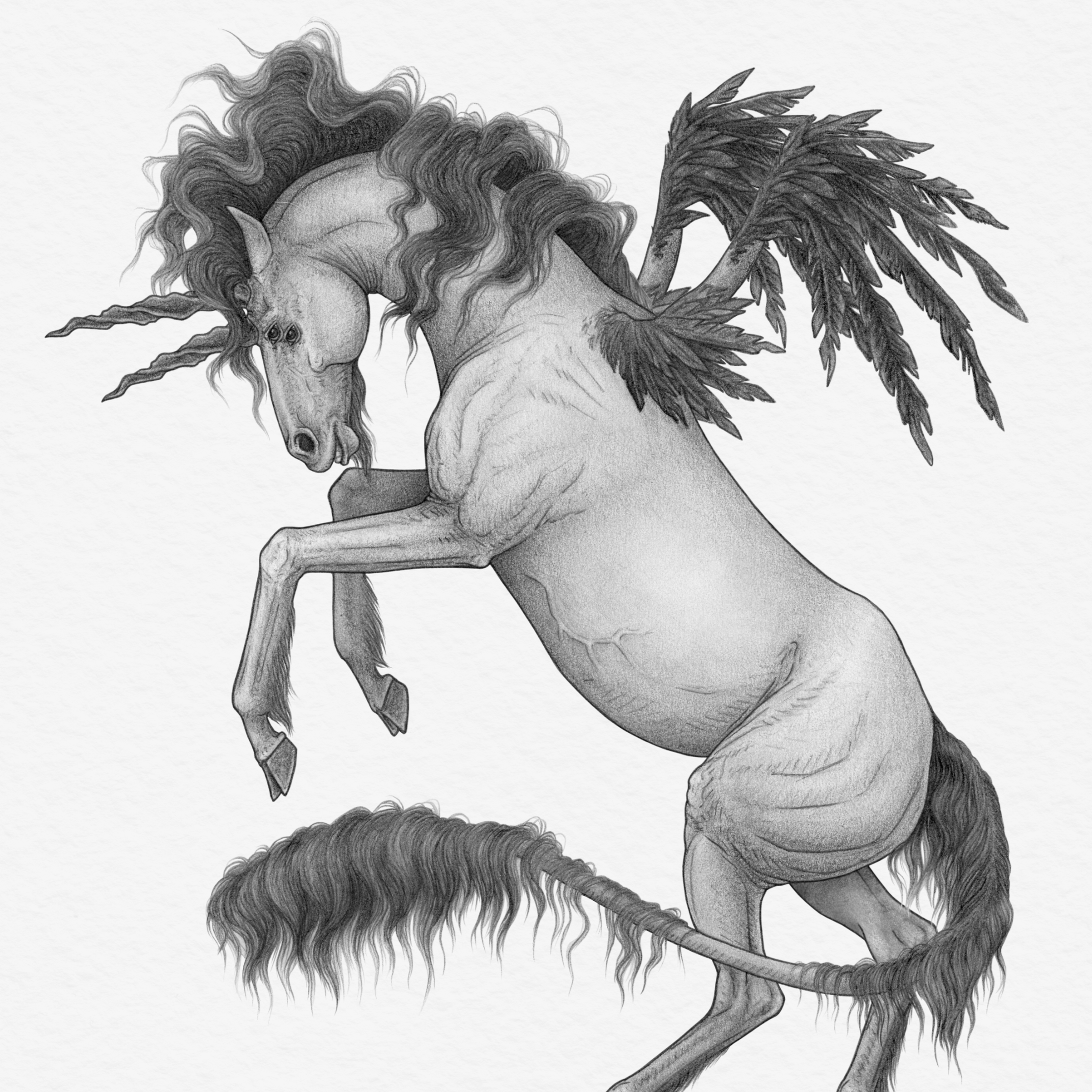 Eerie Alicorn, 2019
