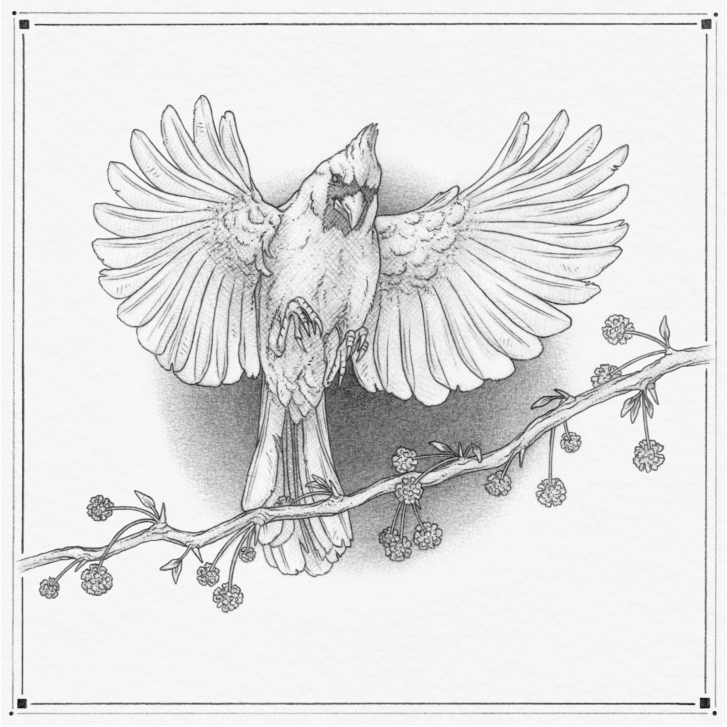 A Cardinal for Maggie, 2026