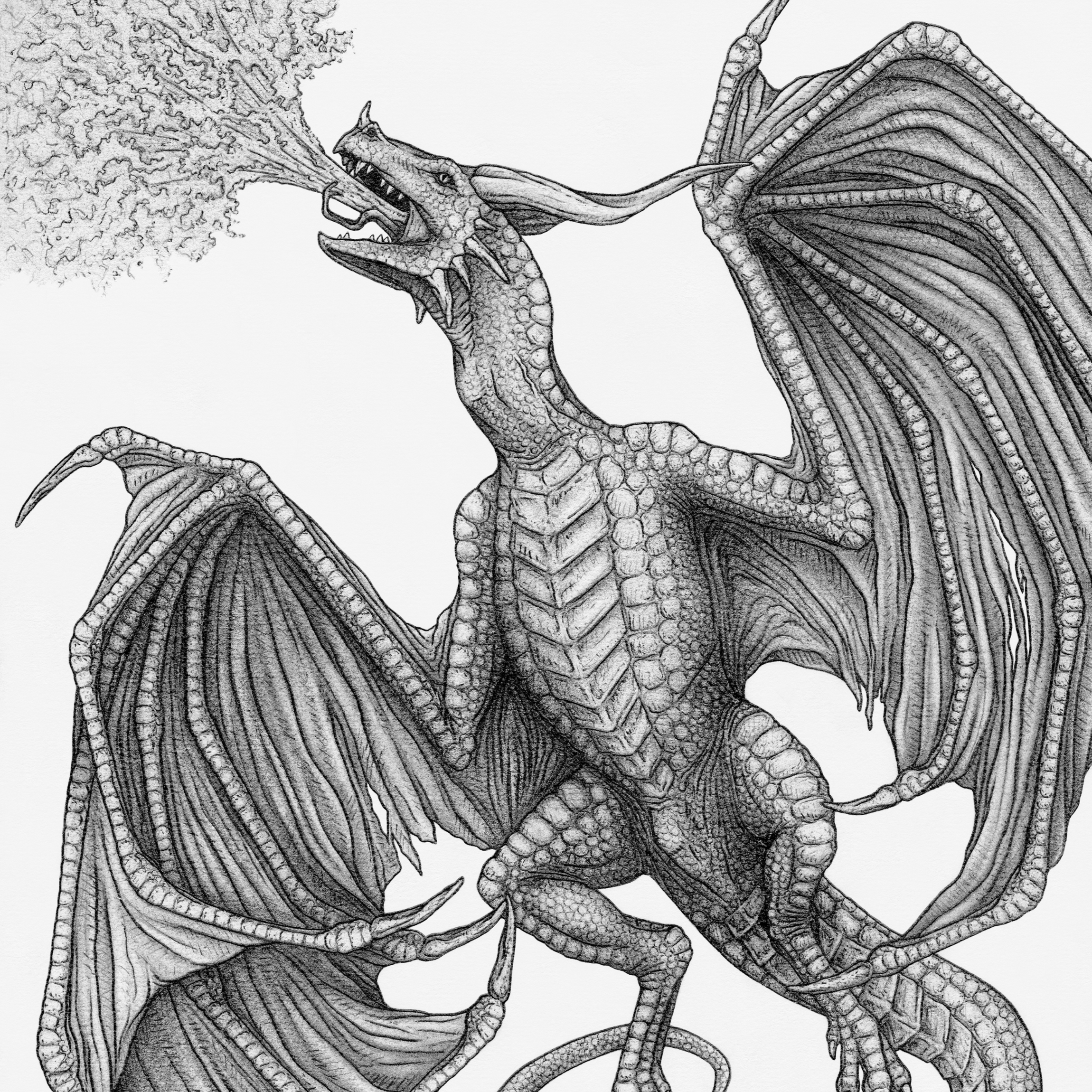 Fire-Breathing Wyvern, 2024