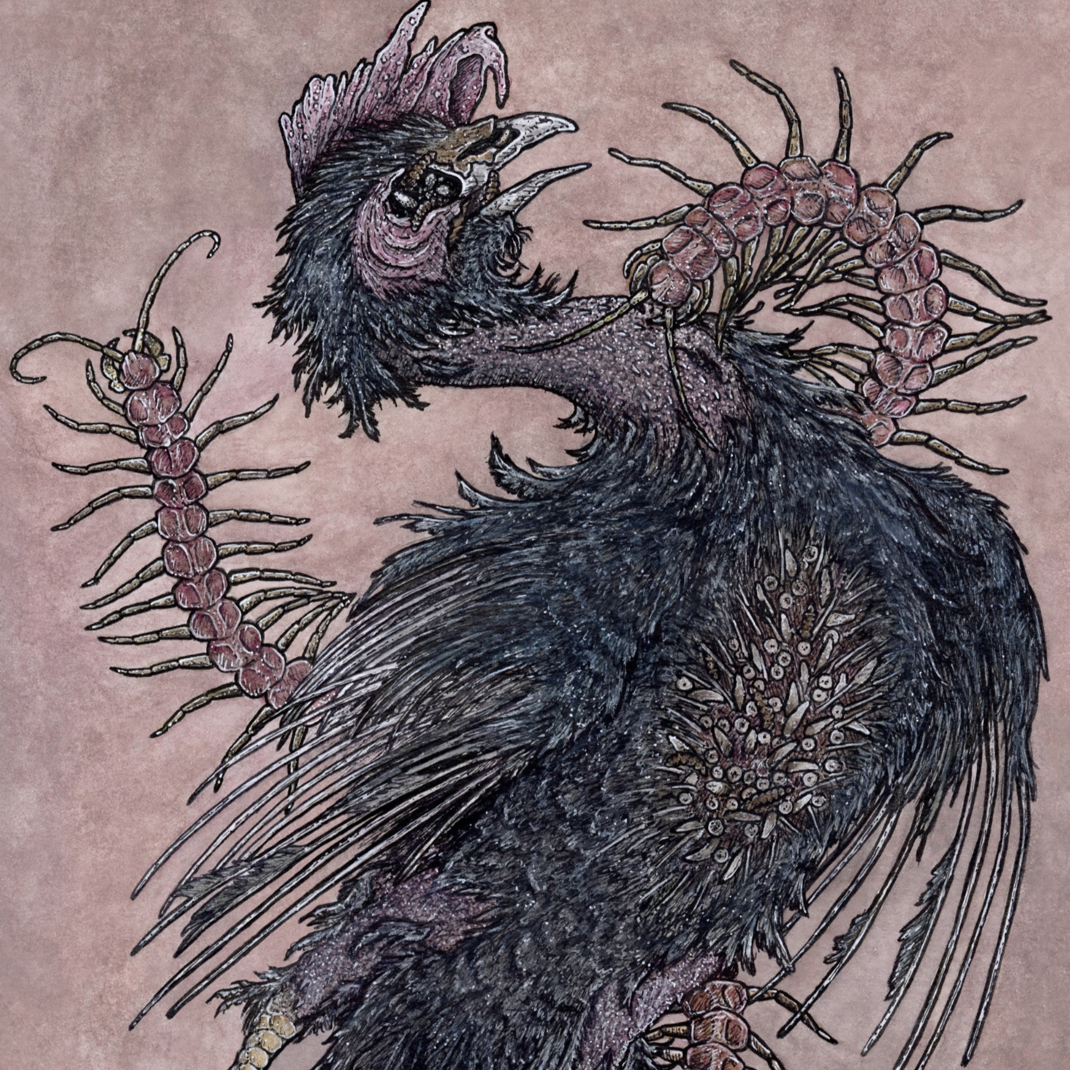 Wicked Chicken, 2021