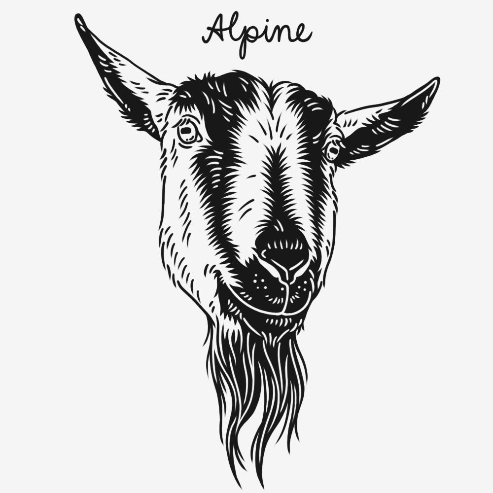 Goat Breeds Screenprints, 2026