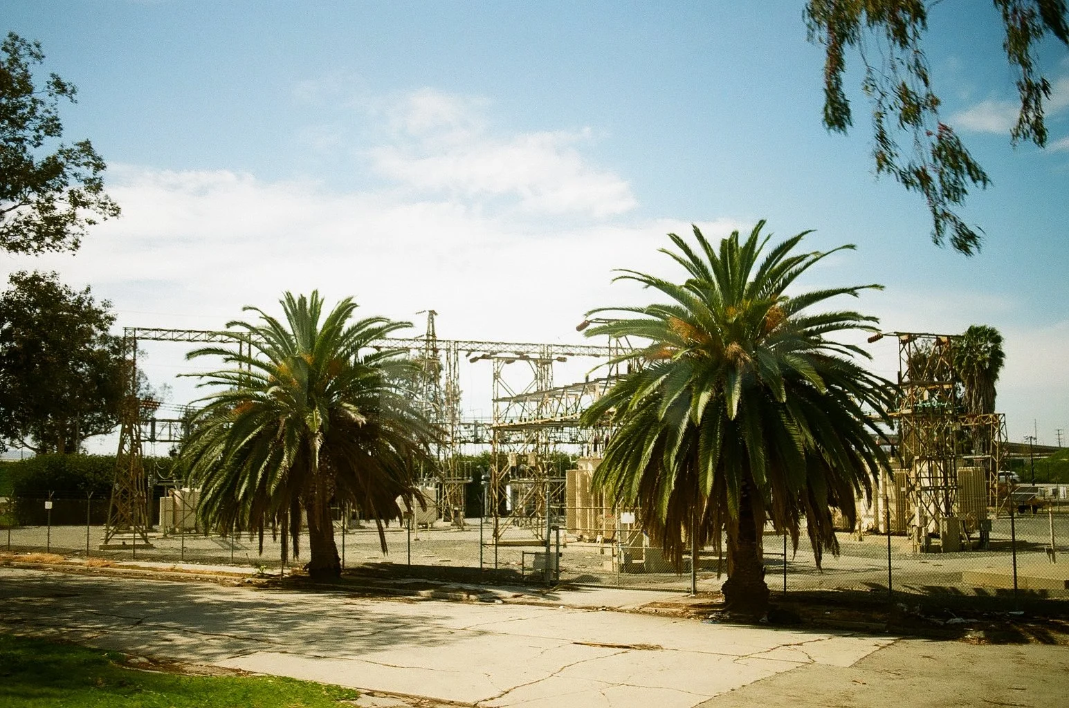 Individuality as an Artist