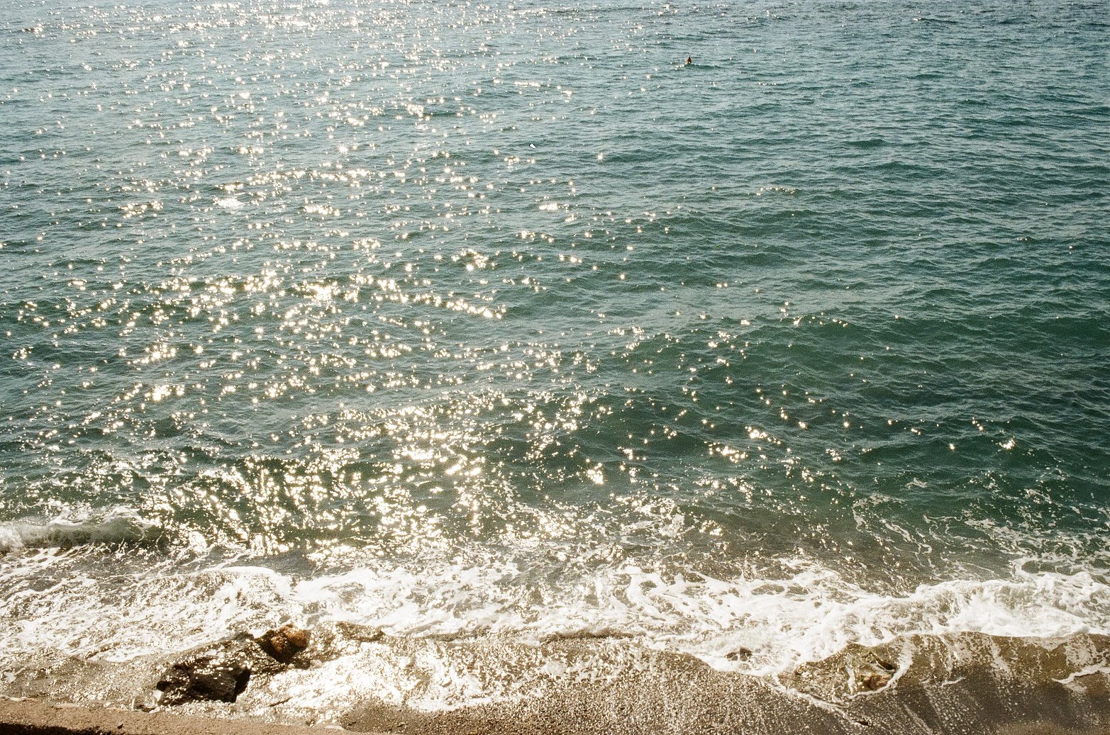 IMG_2921.JPG