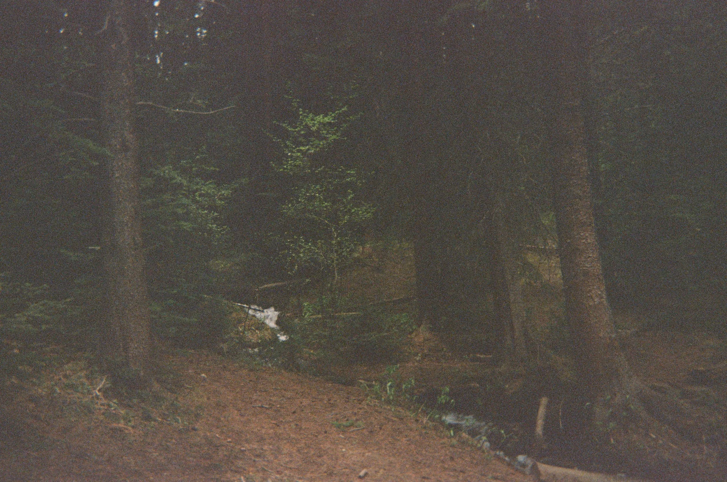 IMG_1807.jpg
