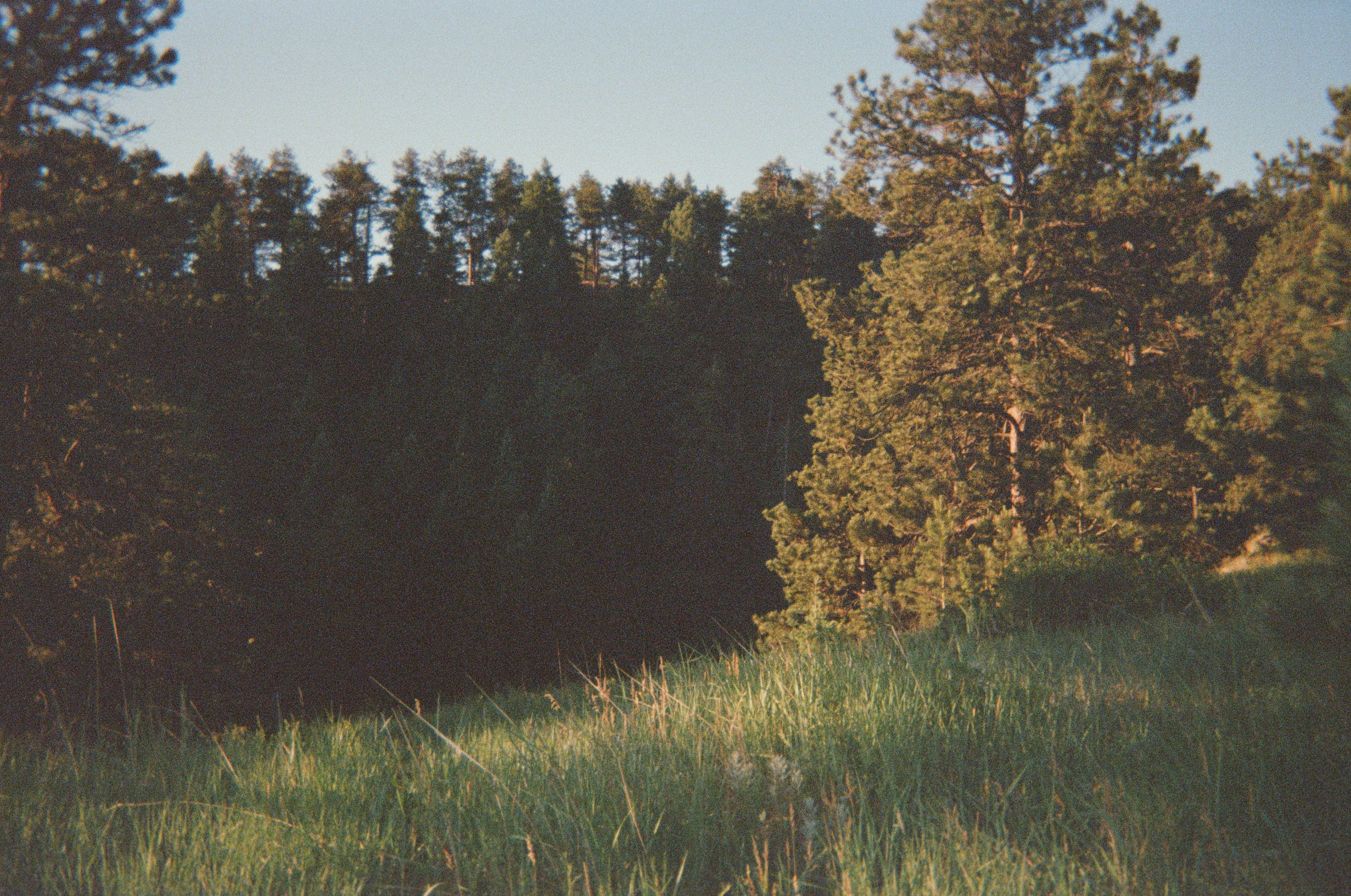 IMG_1812.jpg