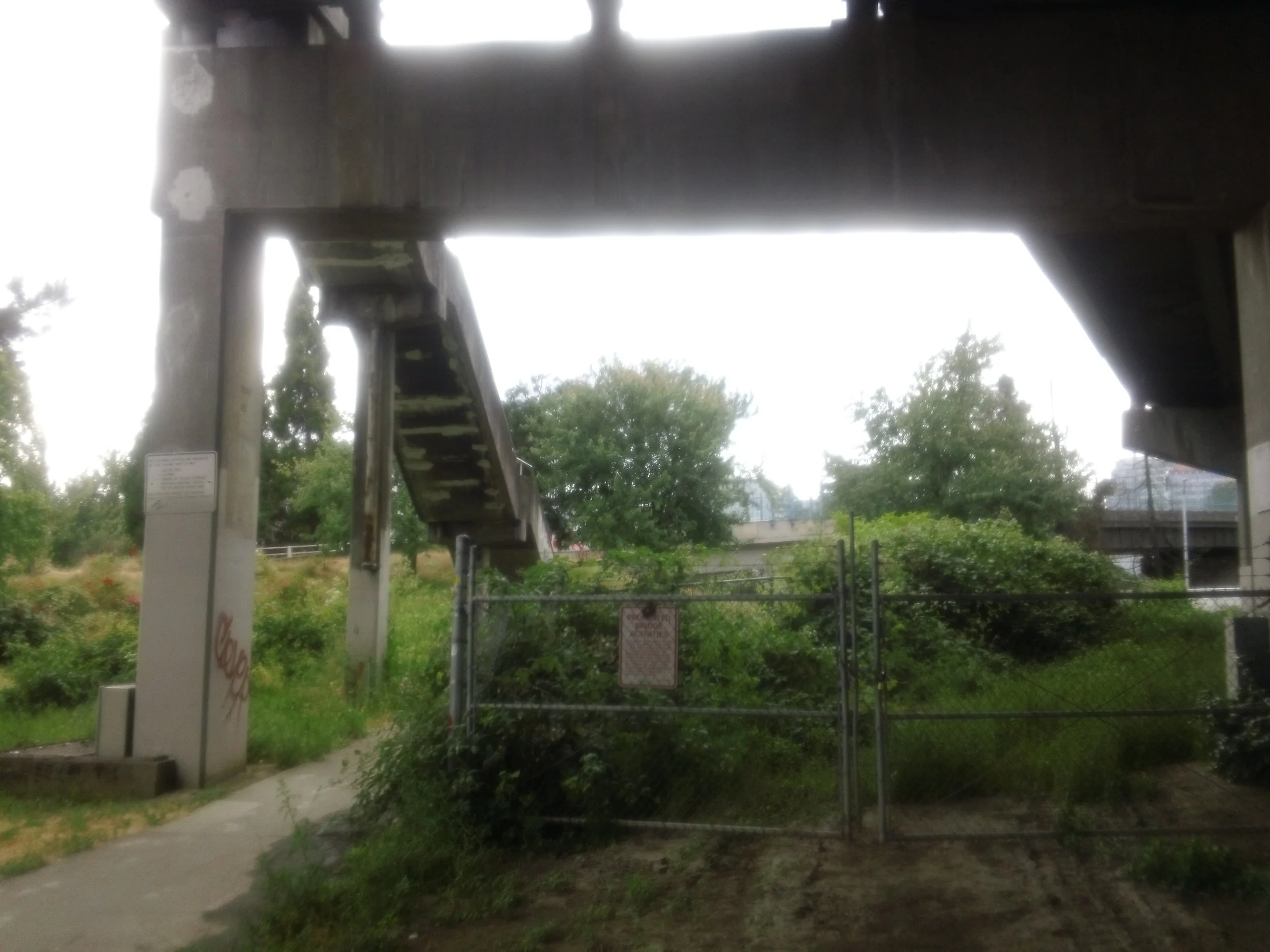 DSC00324.JPG