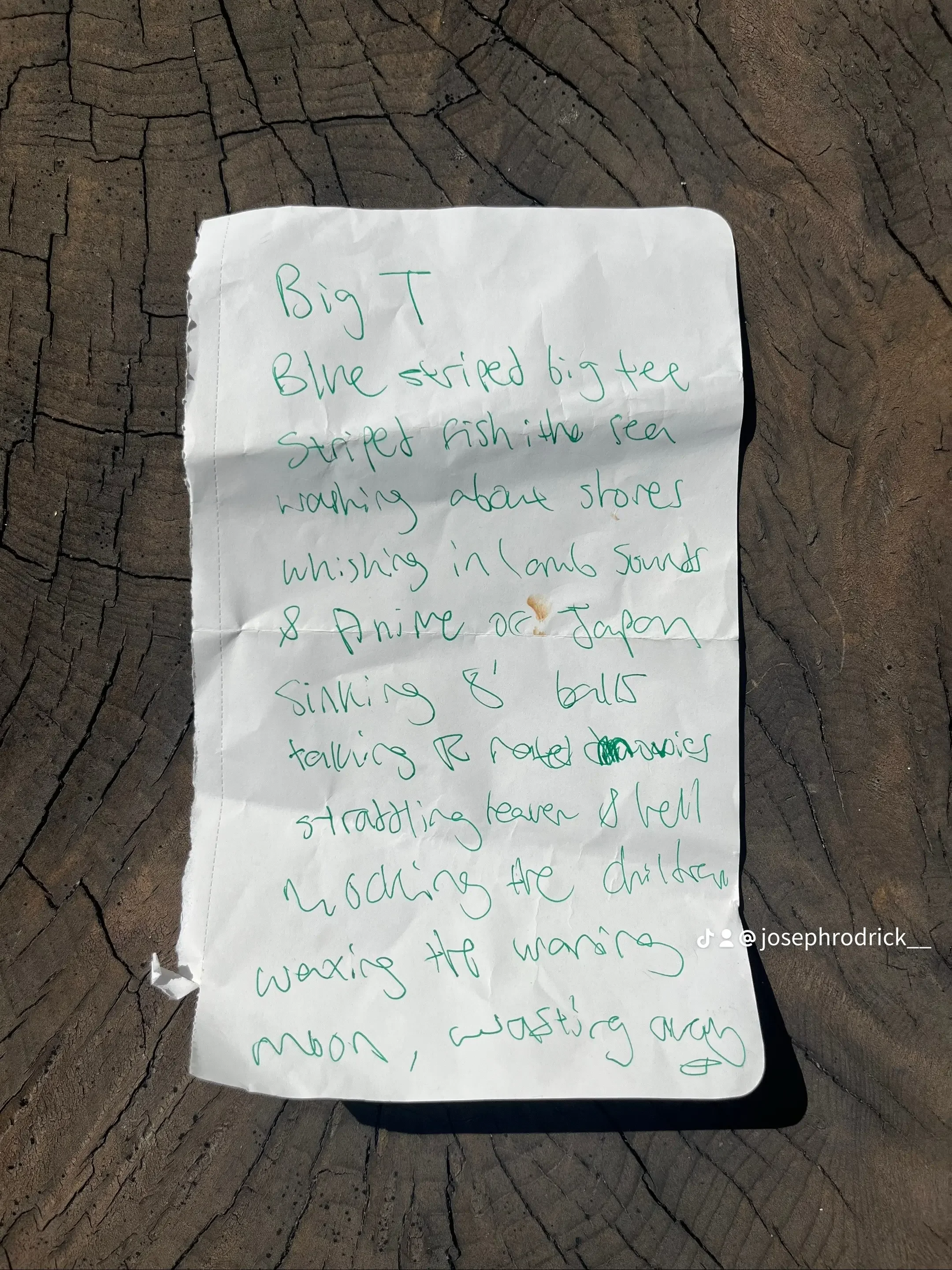 temp_image_0CC0003F-A152-4504-83DD-D70FE9B780C1.webp