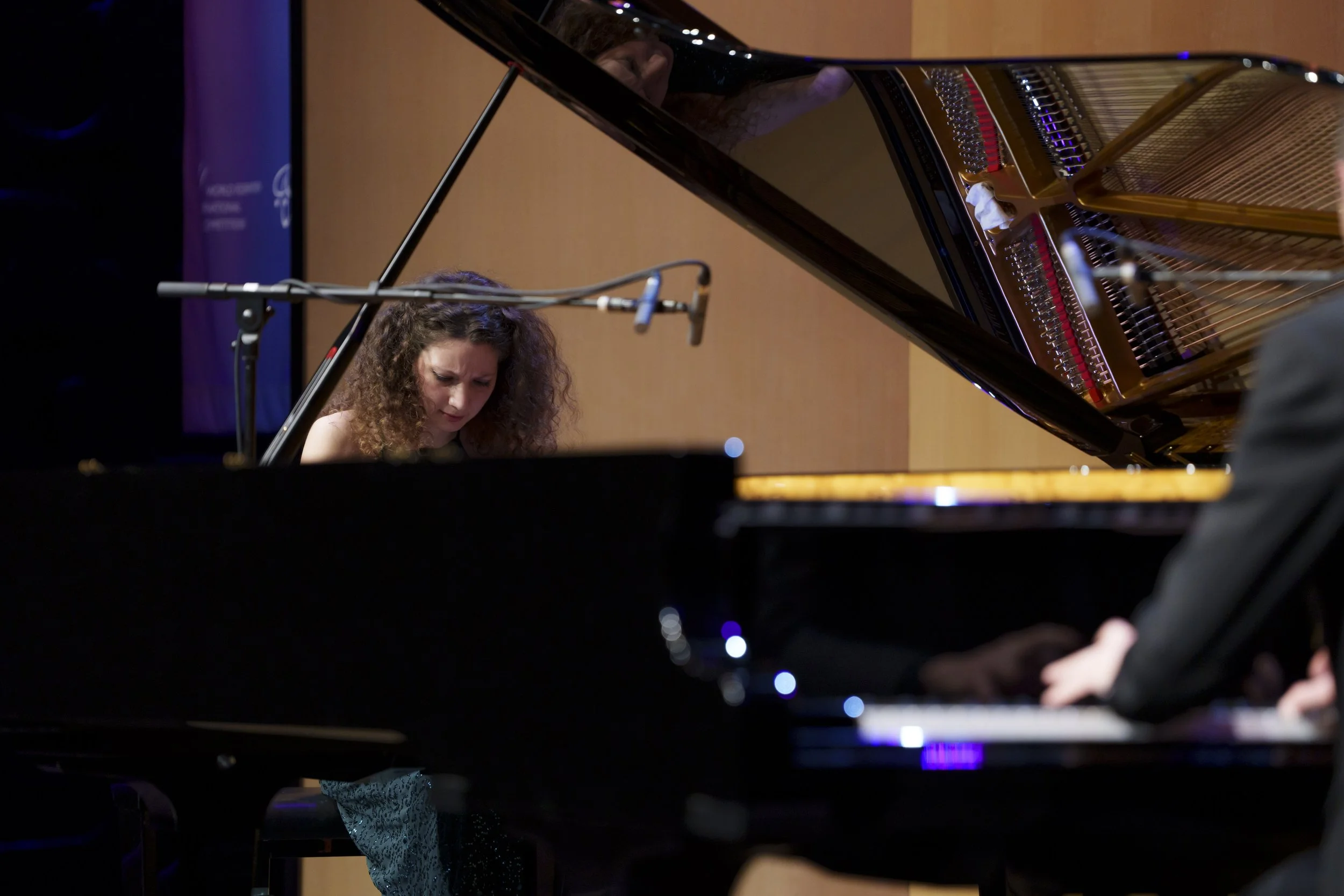 Žilina -  Solo For Two Steinways