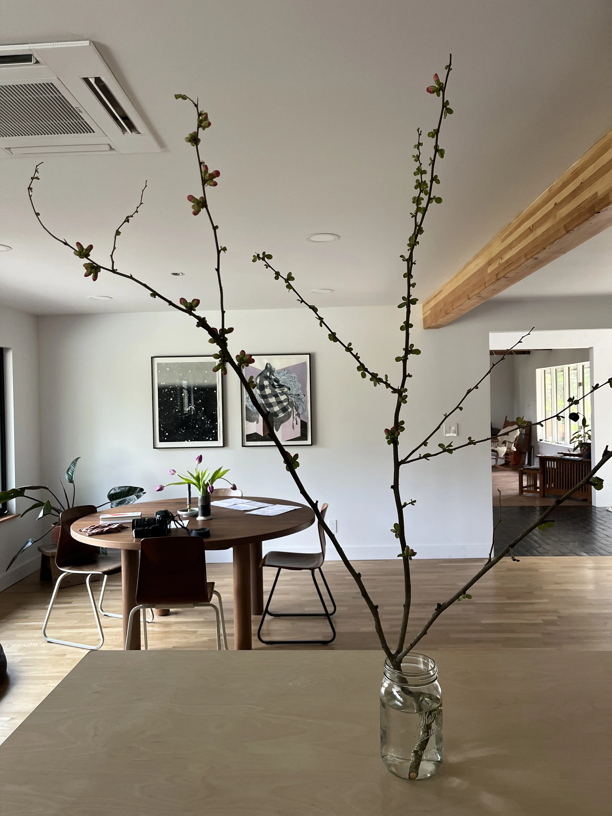 A branch with small green leaves and pink buds in a glass jar filled with water on a wooden table, with a dining area and artwork on the wall in the background.