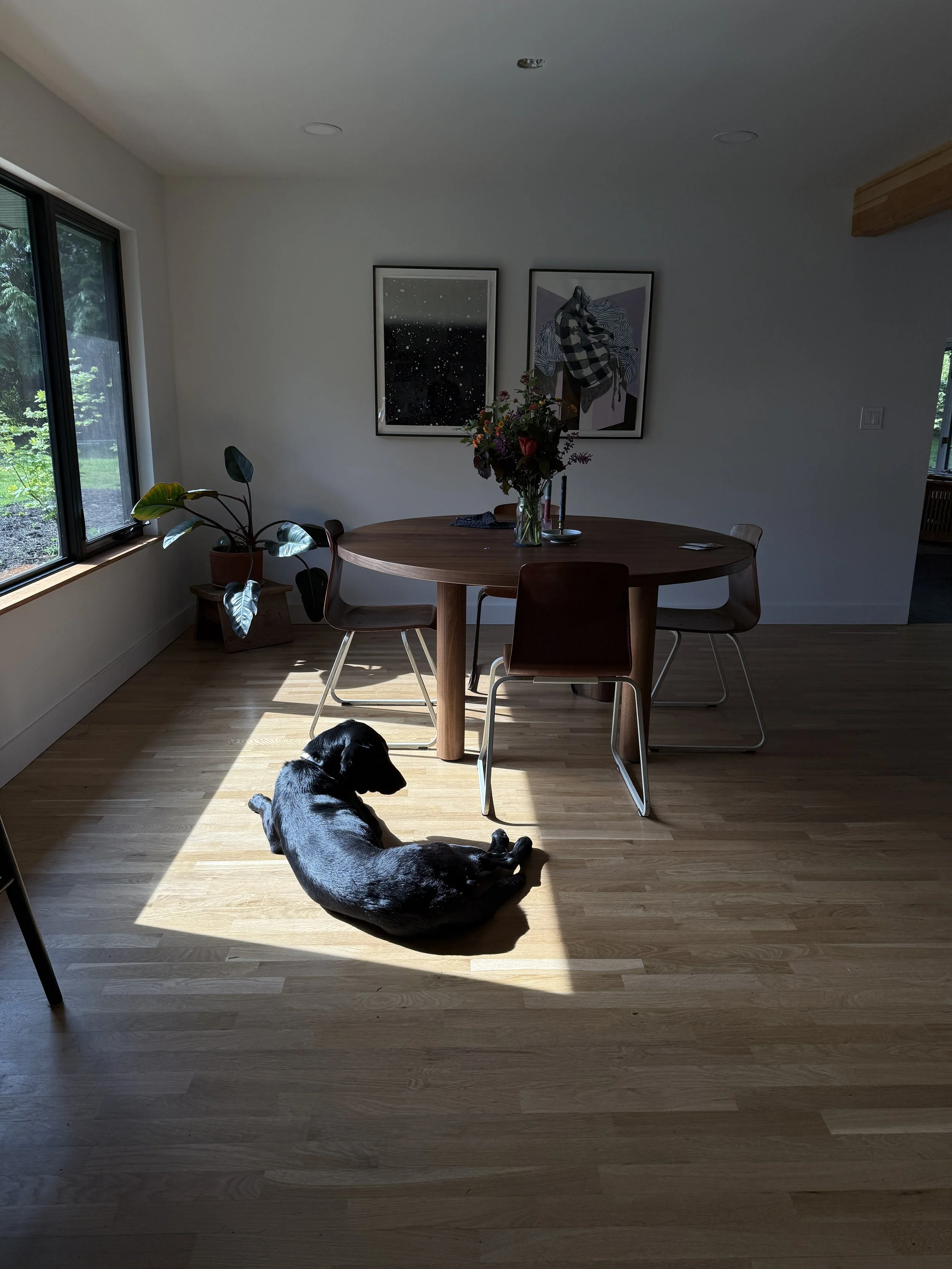 A black dog lying on a sunlit wooden floor near a dining table with chairs, a vase with flowers, and framed art on the wall in a bright dining room.