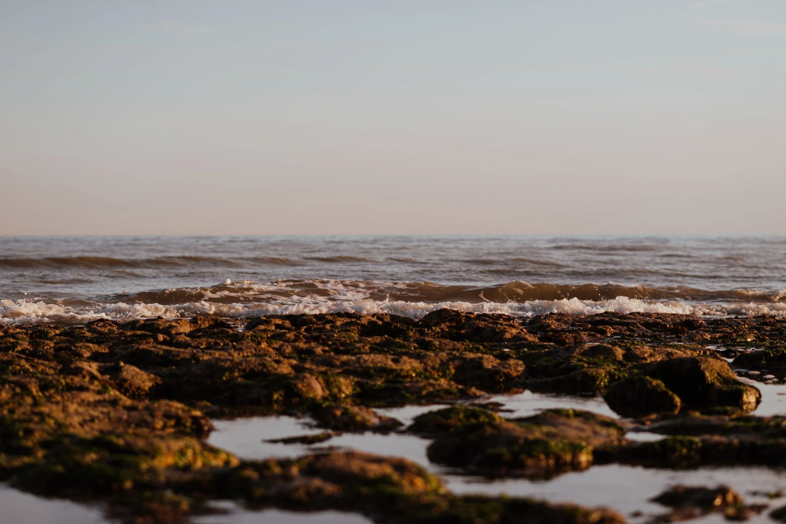 Beach with rocks and algae, gentle waves, and a clear sky.