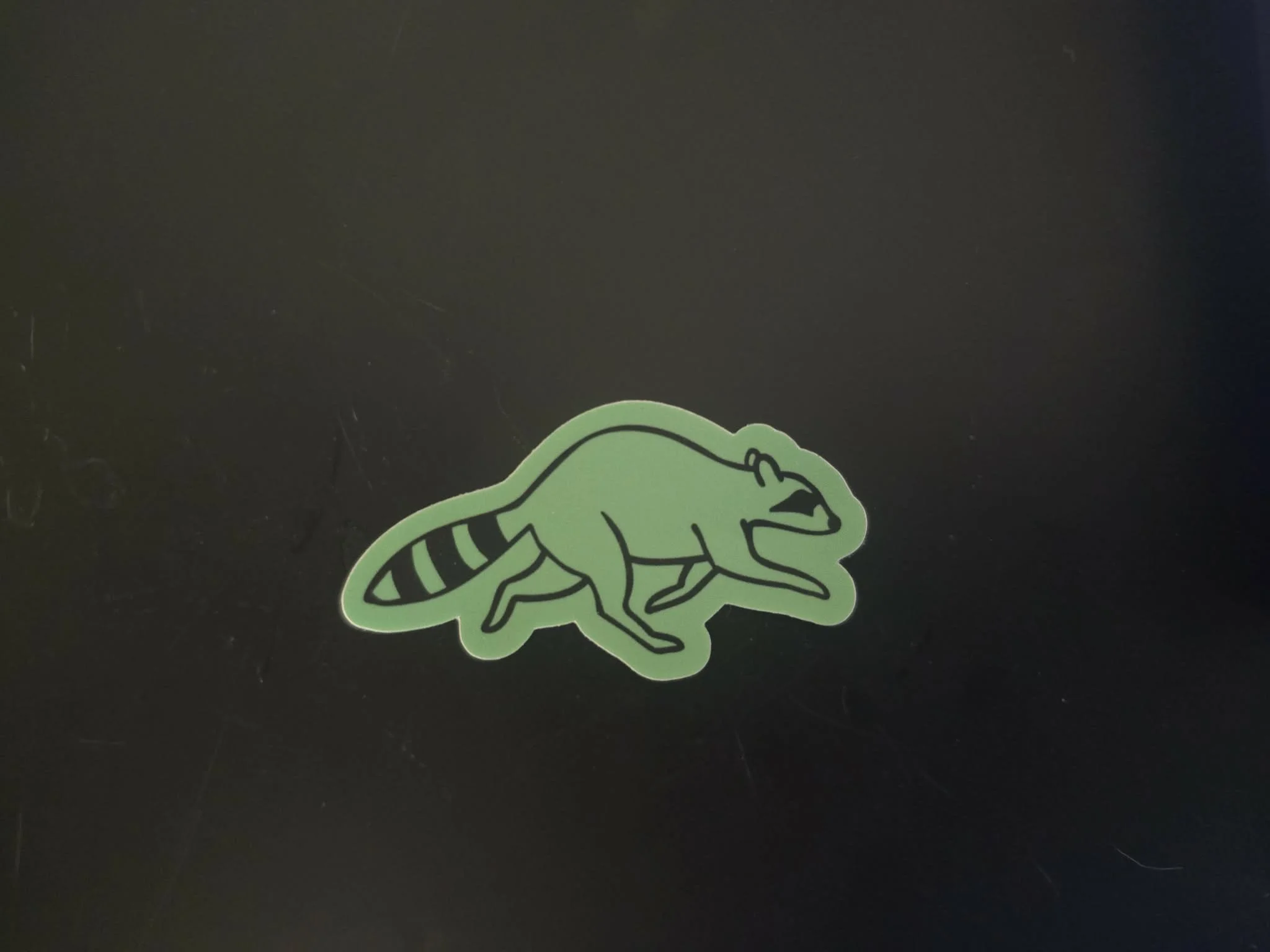 Green Raccoon Sticker.jpg