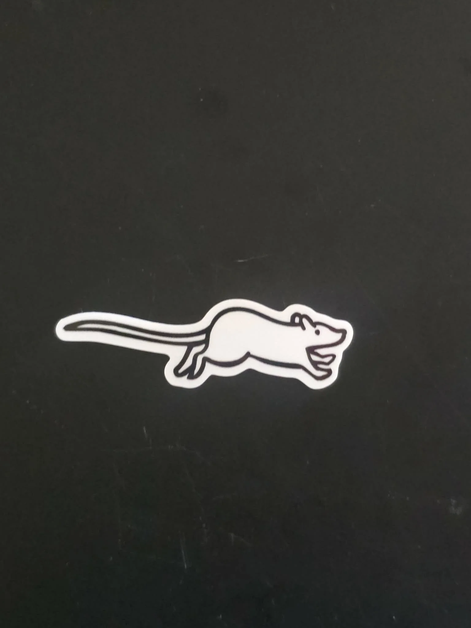 Small White Rat Sticker