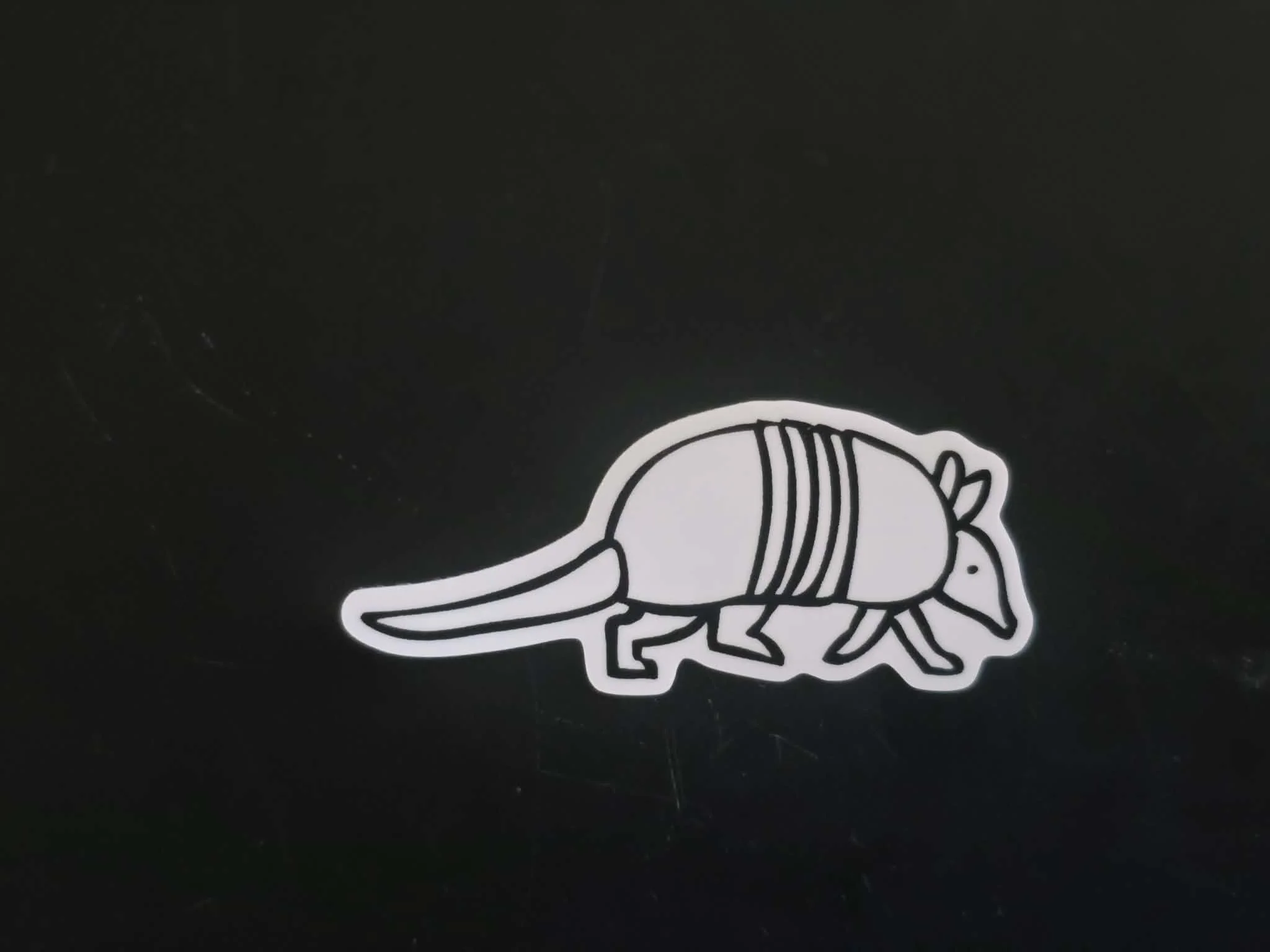 White Armadillo Sticker.jpg