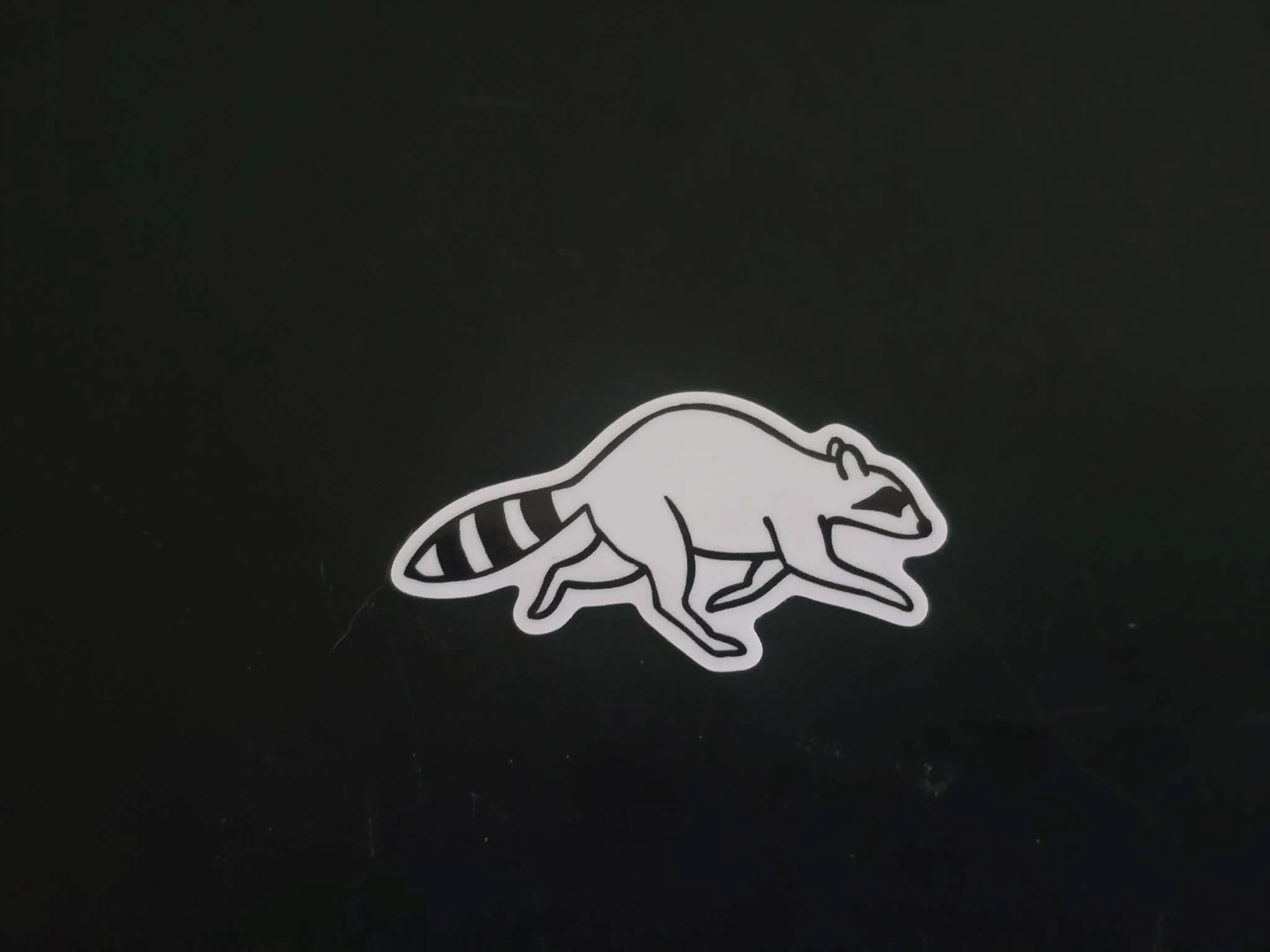 White Raccoon Sticker.jpg