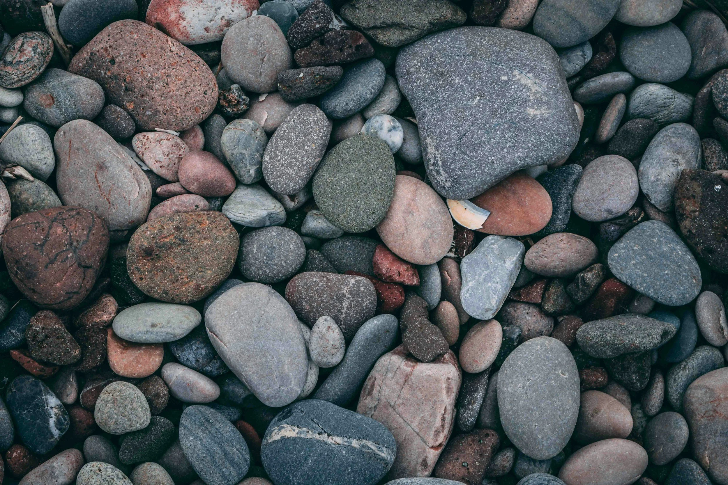 Gather & Ground: Community Acupuncture Summer Series