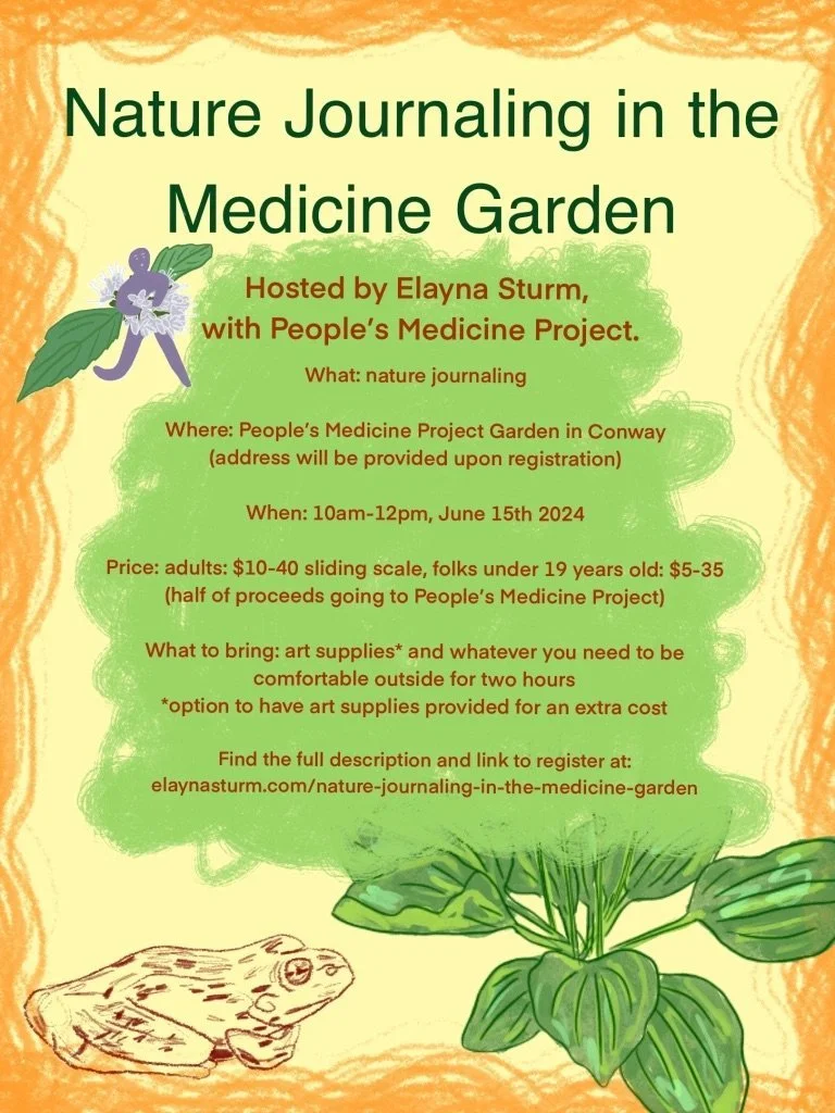 Nature Journaling in the Medicine Garden
