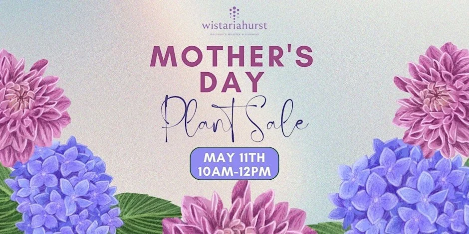 Mother’s Day Plant Sale at Wistariahurst Museum