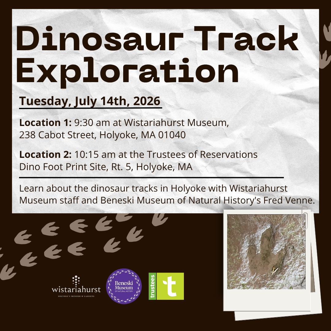 Dinosaur Track Exploration