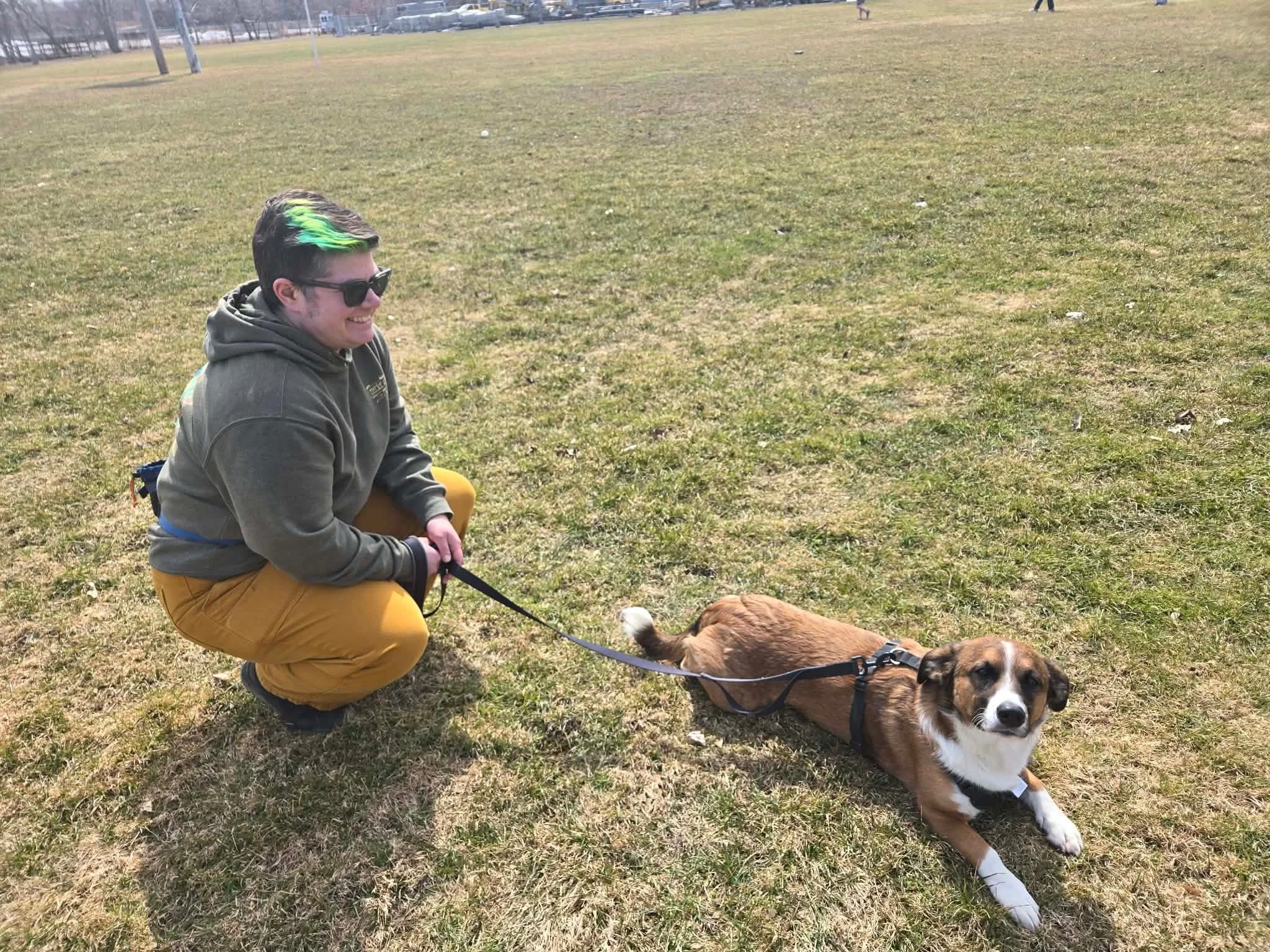There and Bark Again Owner