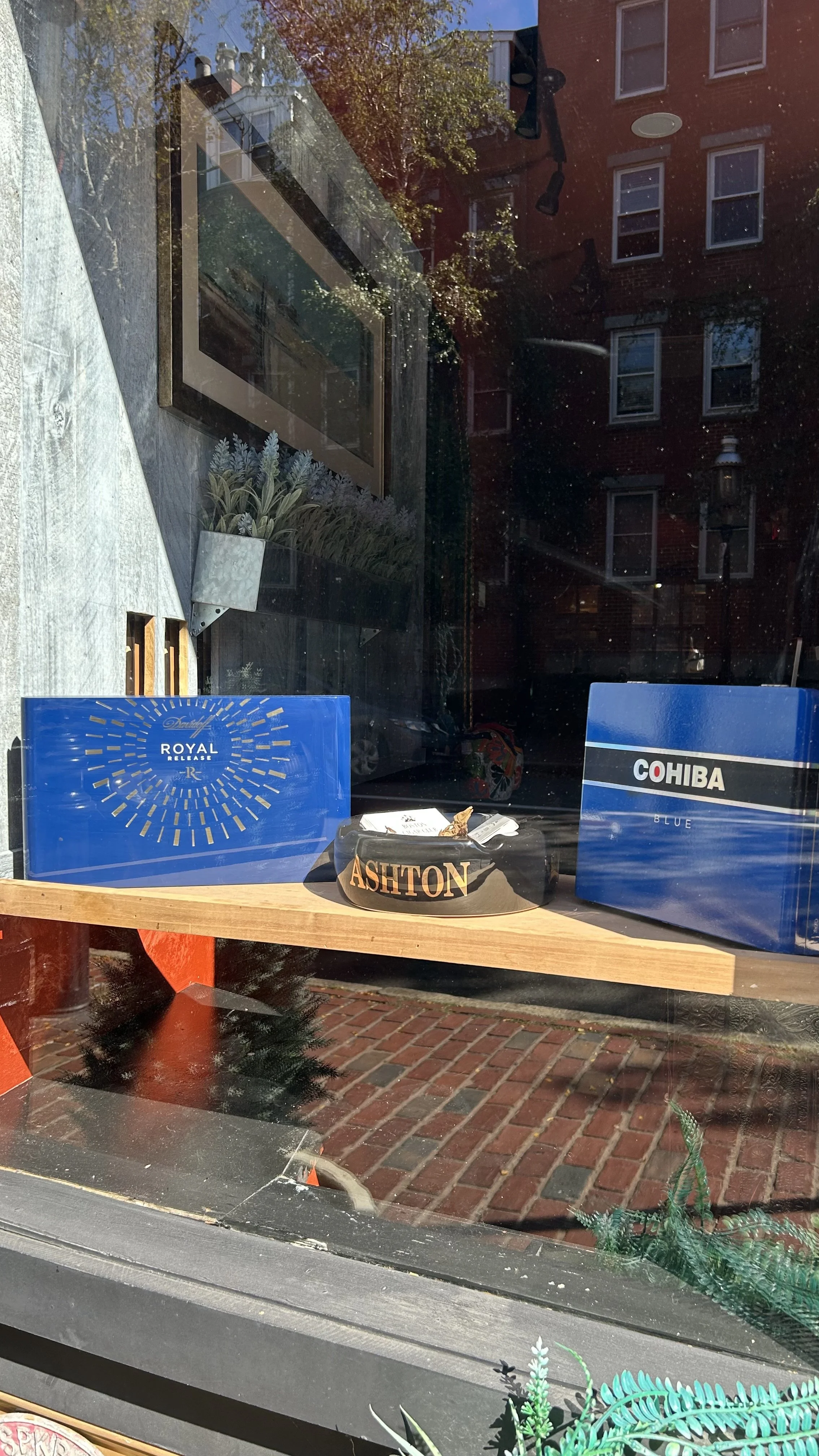 A window display with two blue boxes, one labeled 'Royal' and the other 'Cohiba Blue,' along with a black container labeled 'Ashton' and some plants, with reflections of buildings and trees outside.