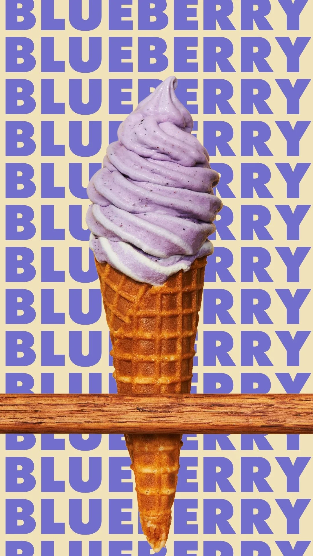 BLUEBERRY STORY.jpg