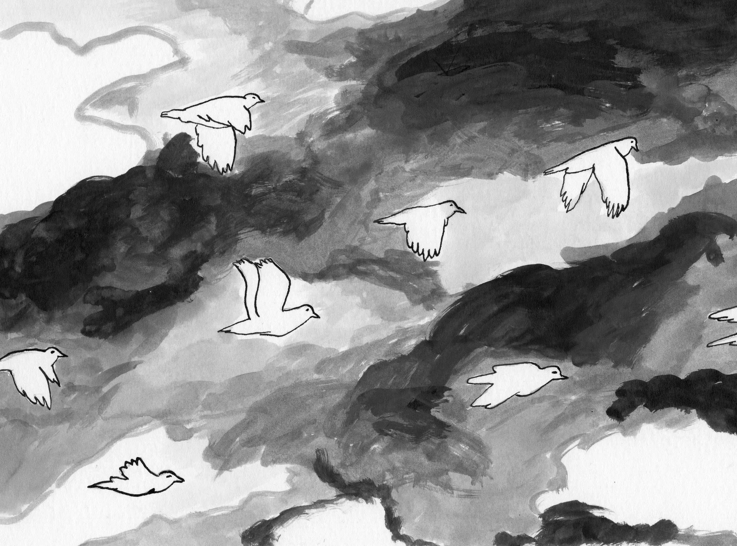 pt-birds.jpg
