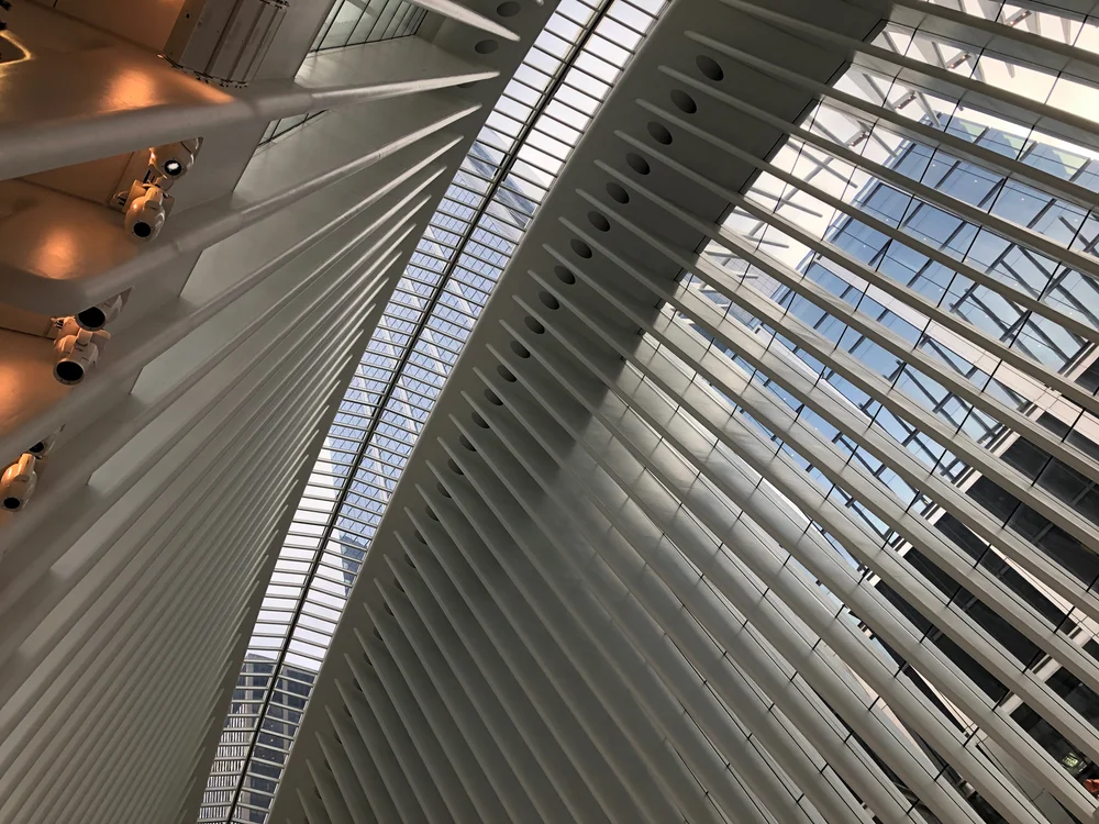 Looking up at the white steel ribs of the Oculus
