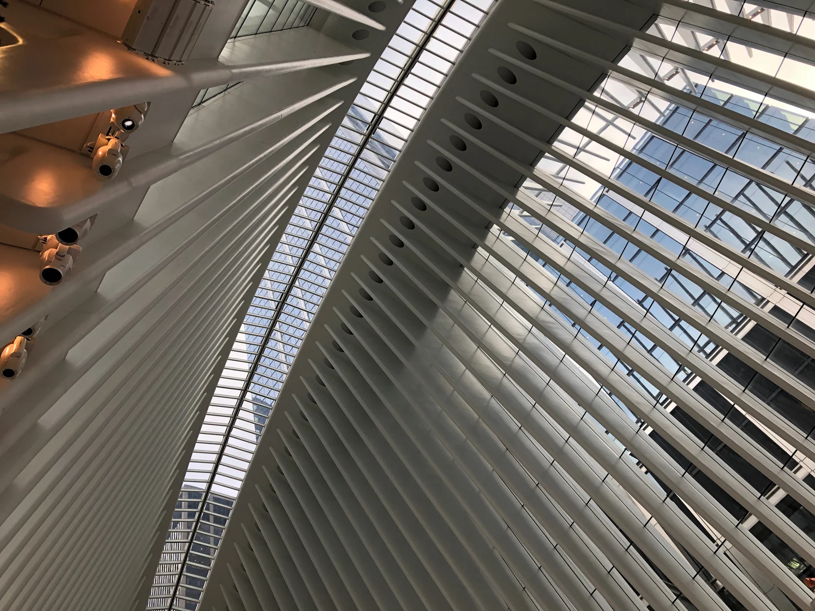Looking up at the white steel ribs of the Oculus