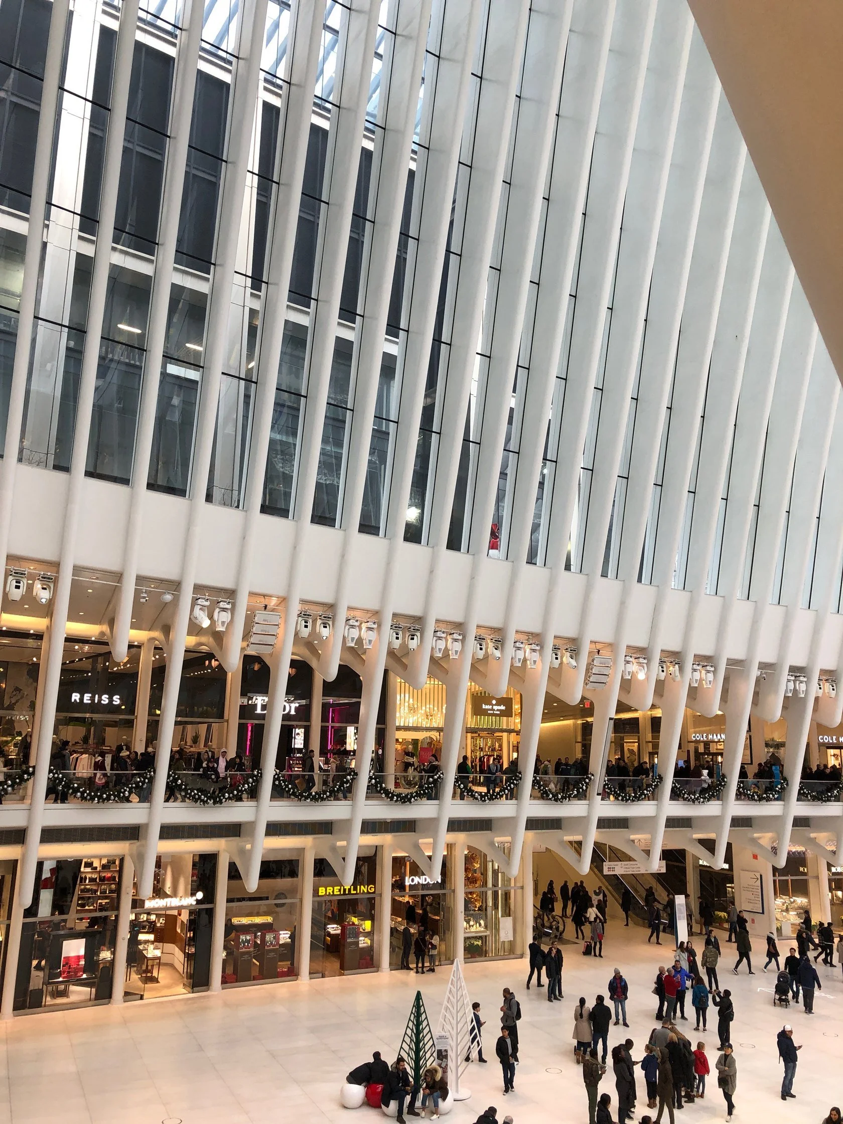 06-wtc-photograph-of-the-ribs-over-the-main-hall.jpg