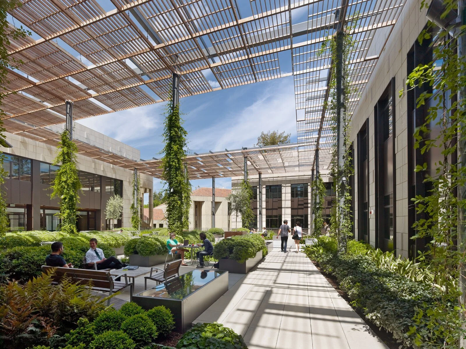 02-neukom-the-trellis-covered-faculty-garden-with-planting.jpg