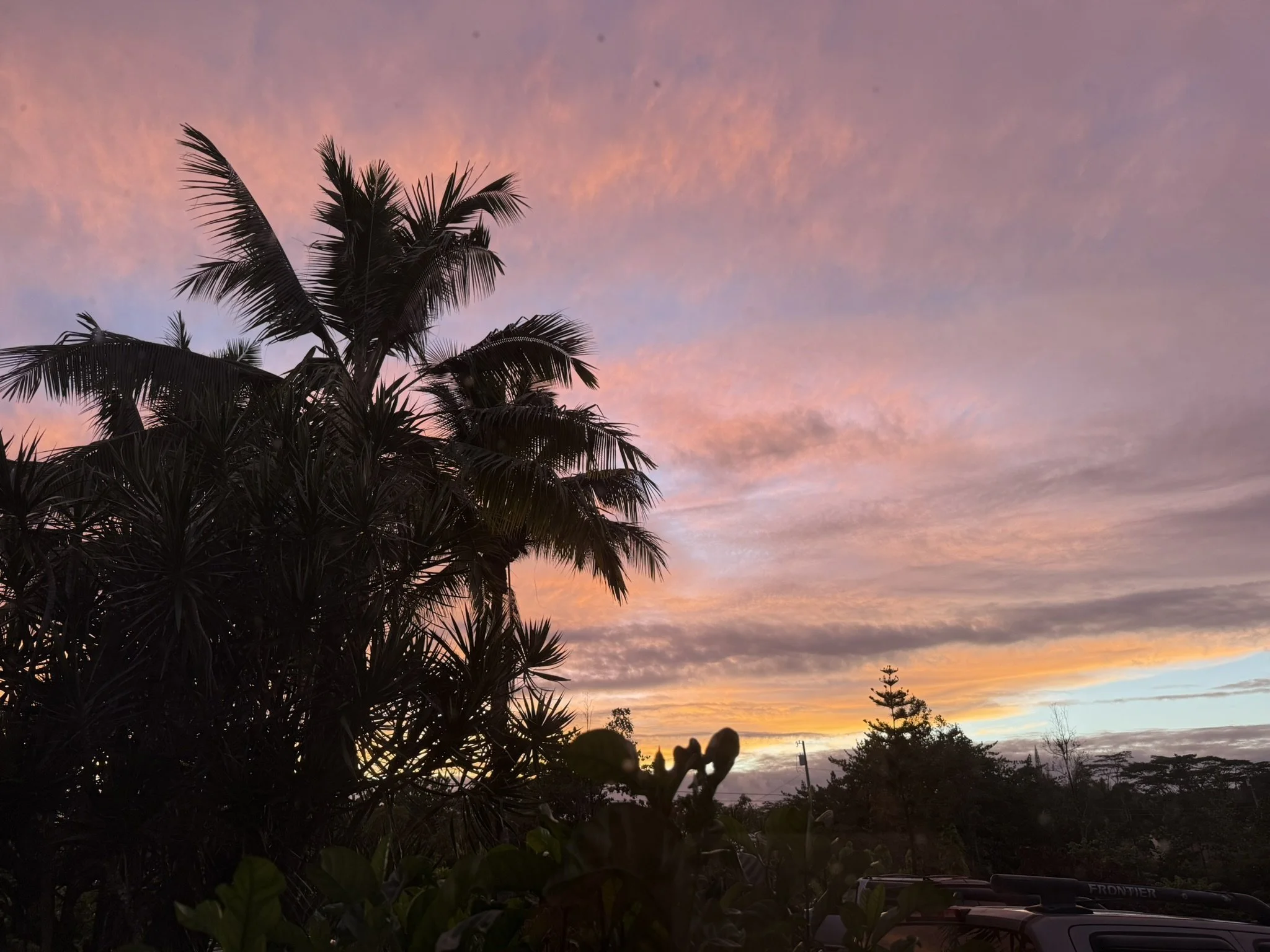 The Healing Power of Intention: What The Intention Experiment Teaches Us