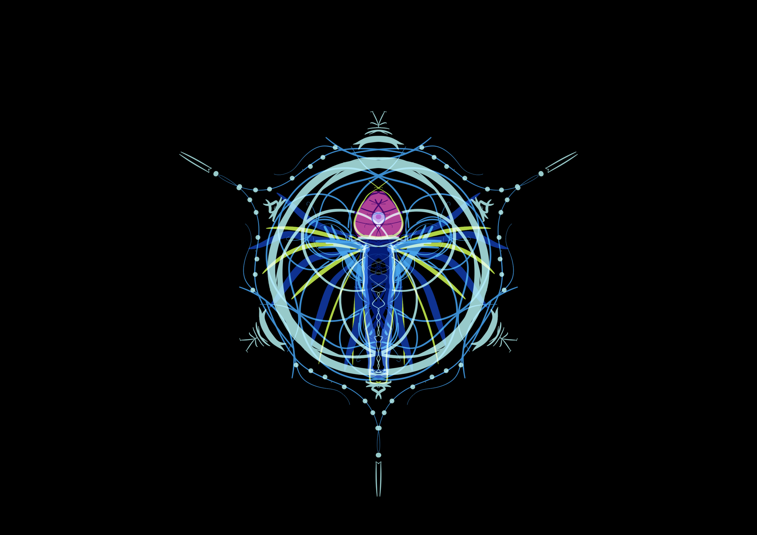 IMG_1563.png