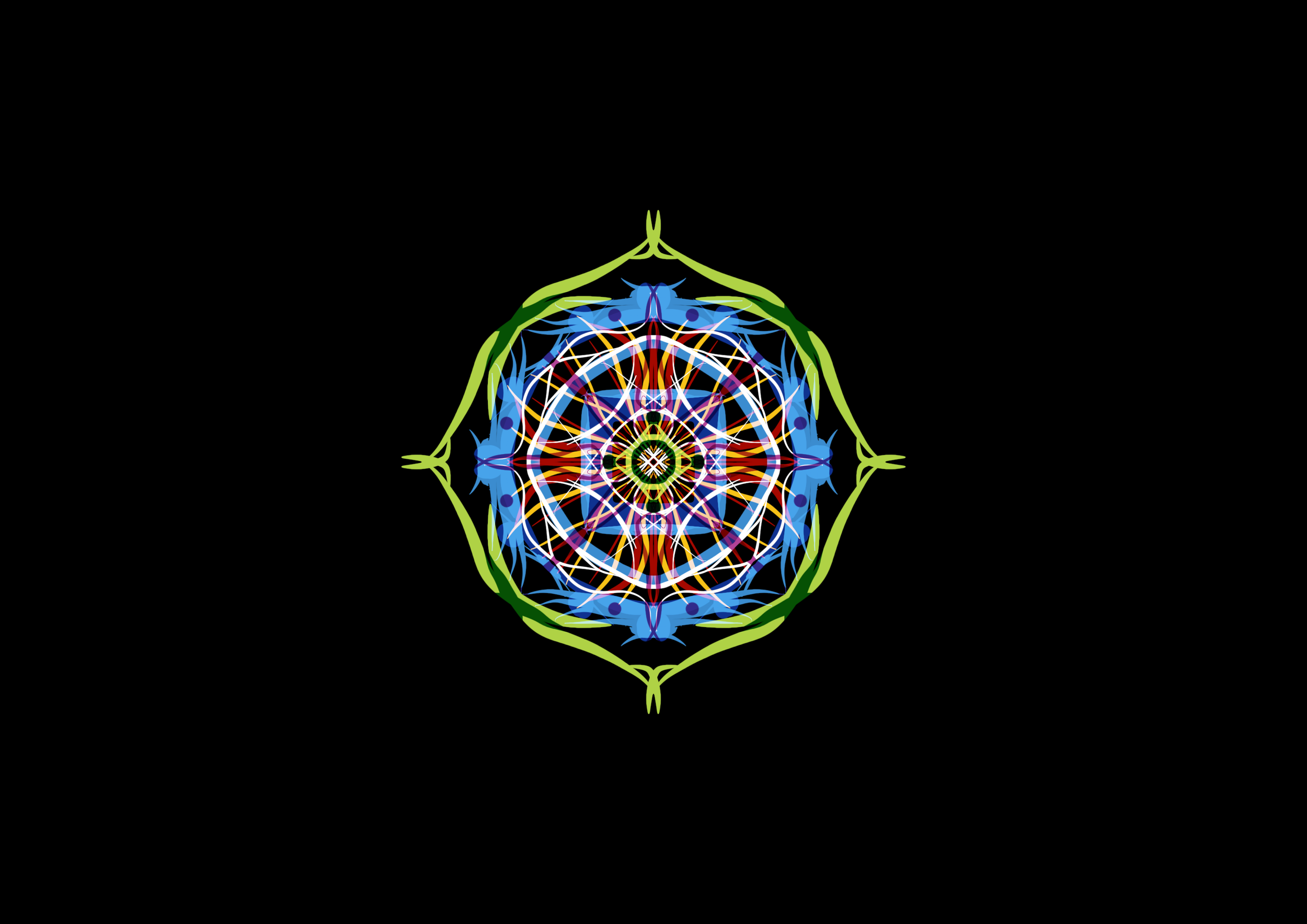 IMG_1647.png