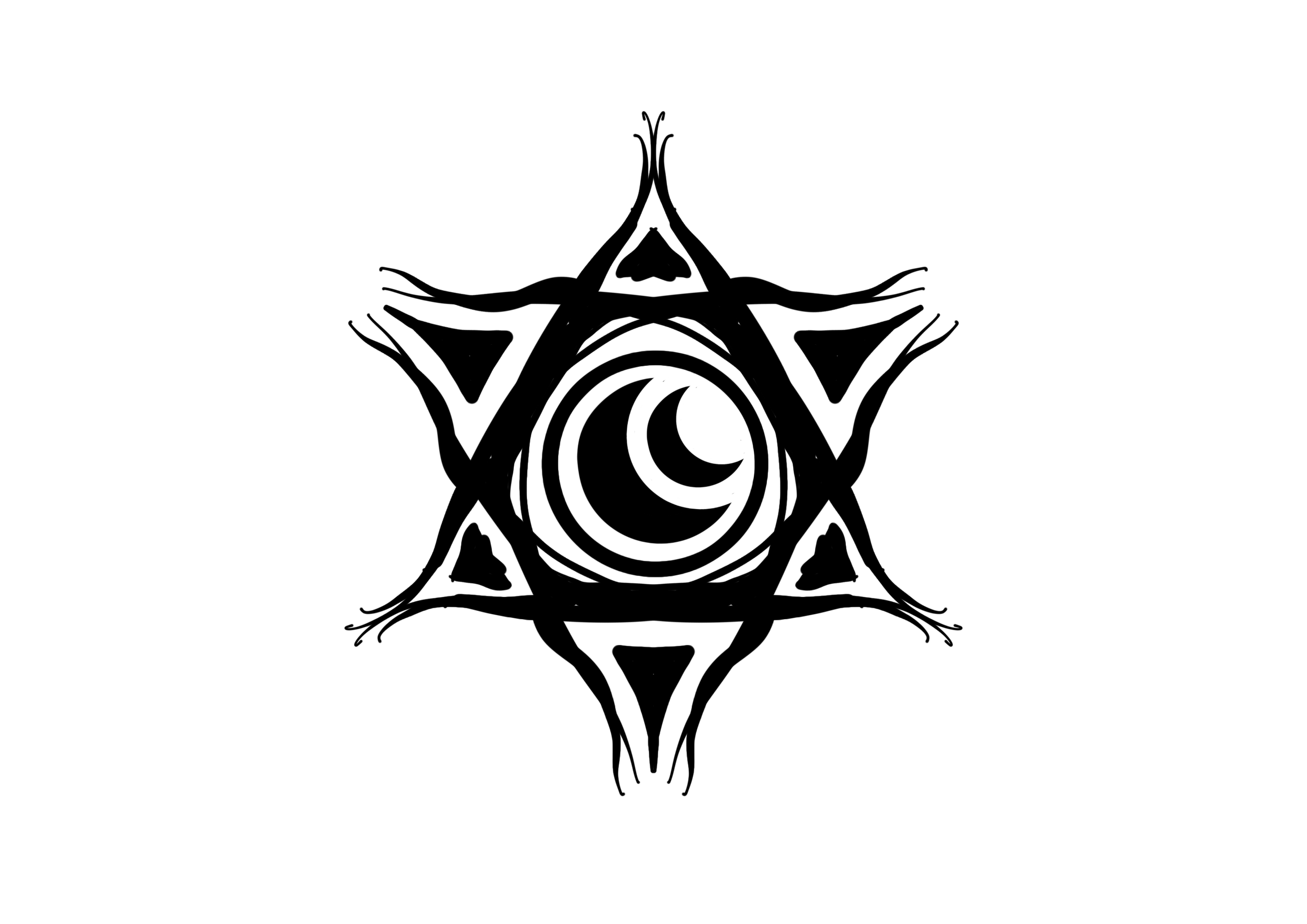 IMG_3386.png