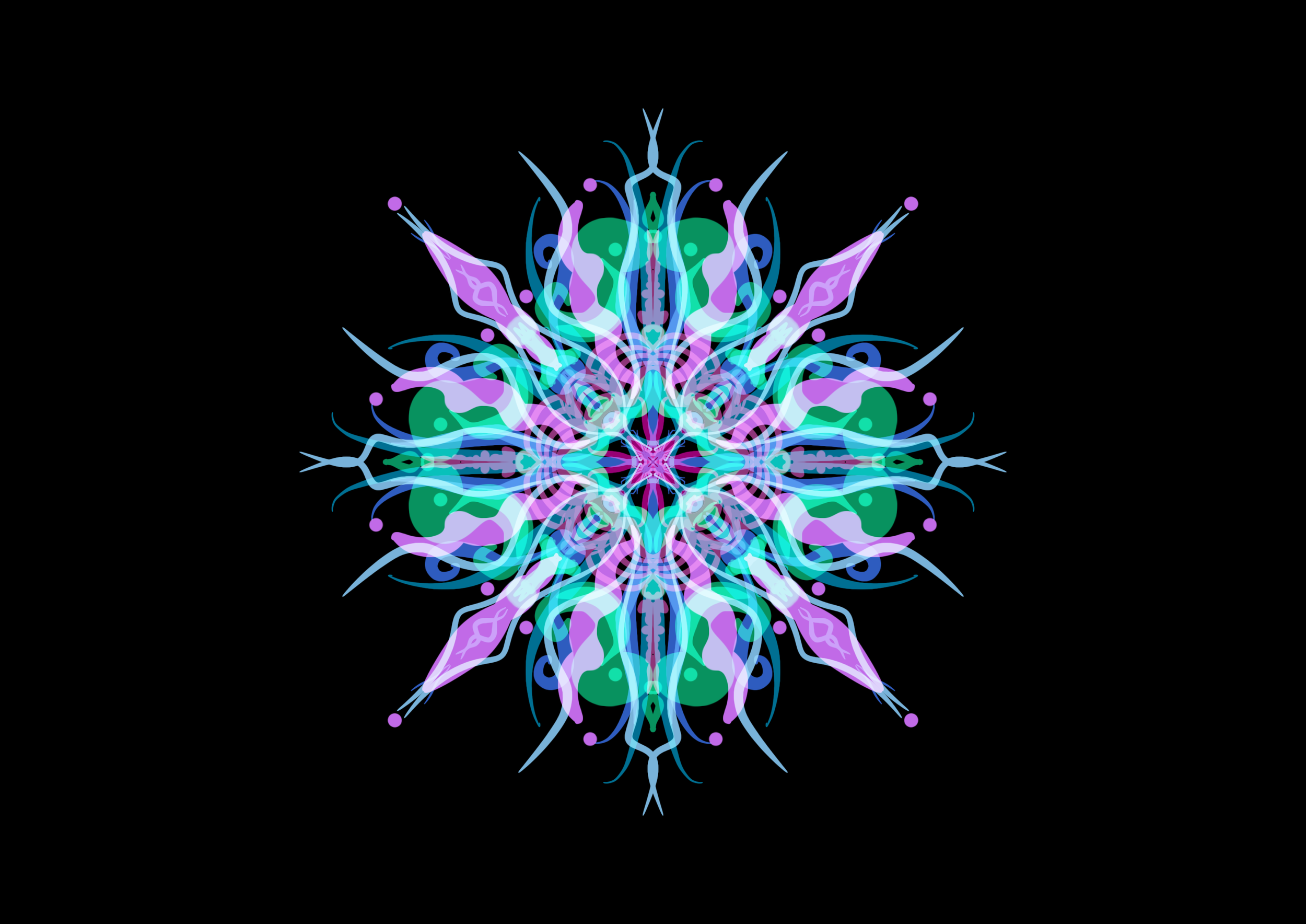 IMG_2099.png