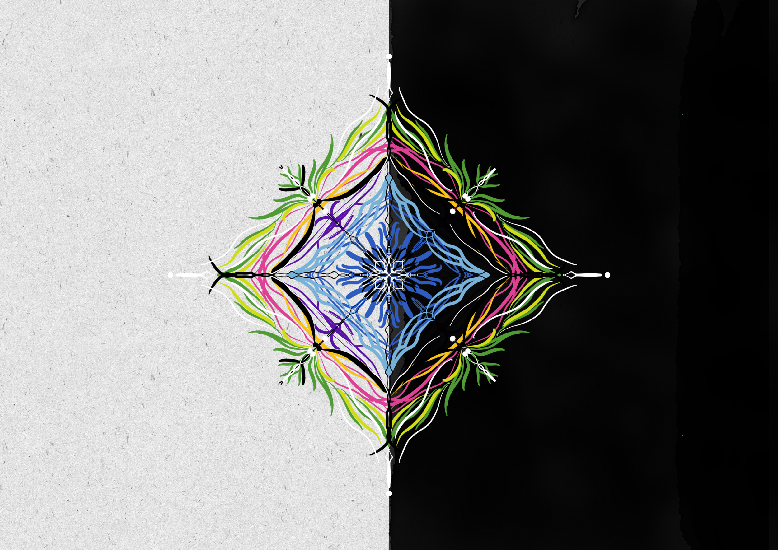 IMG_1827.png