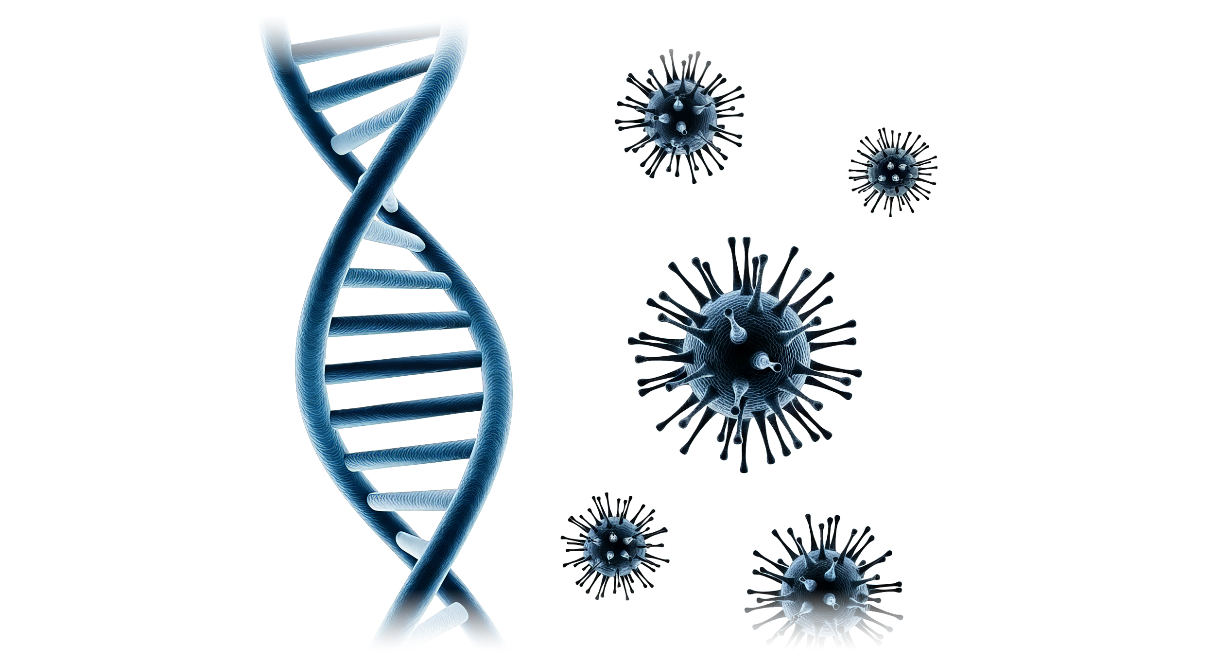 A digital illustration depicting a DNA double helix on the left and multiple black and gray virus particles with spike-like protrusions on the right.